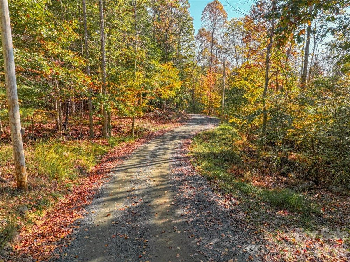 Acreage at 001 Pond Road, Spruce Pine, photo 2 of 6