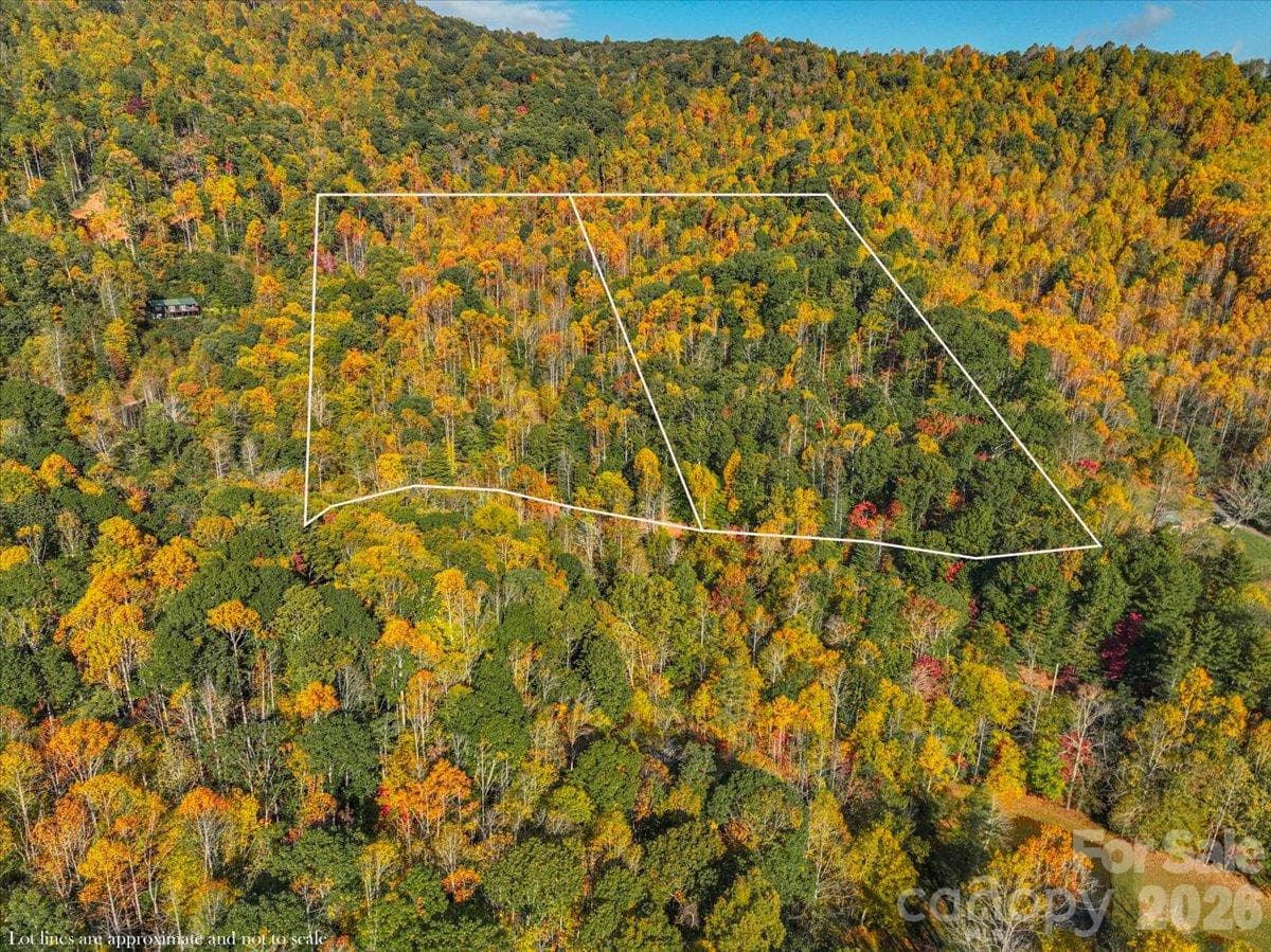 Acreage at 000 Pond Road, Spruce Pine, photo 2 of 14