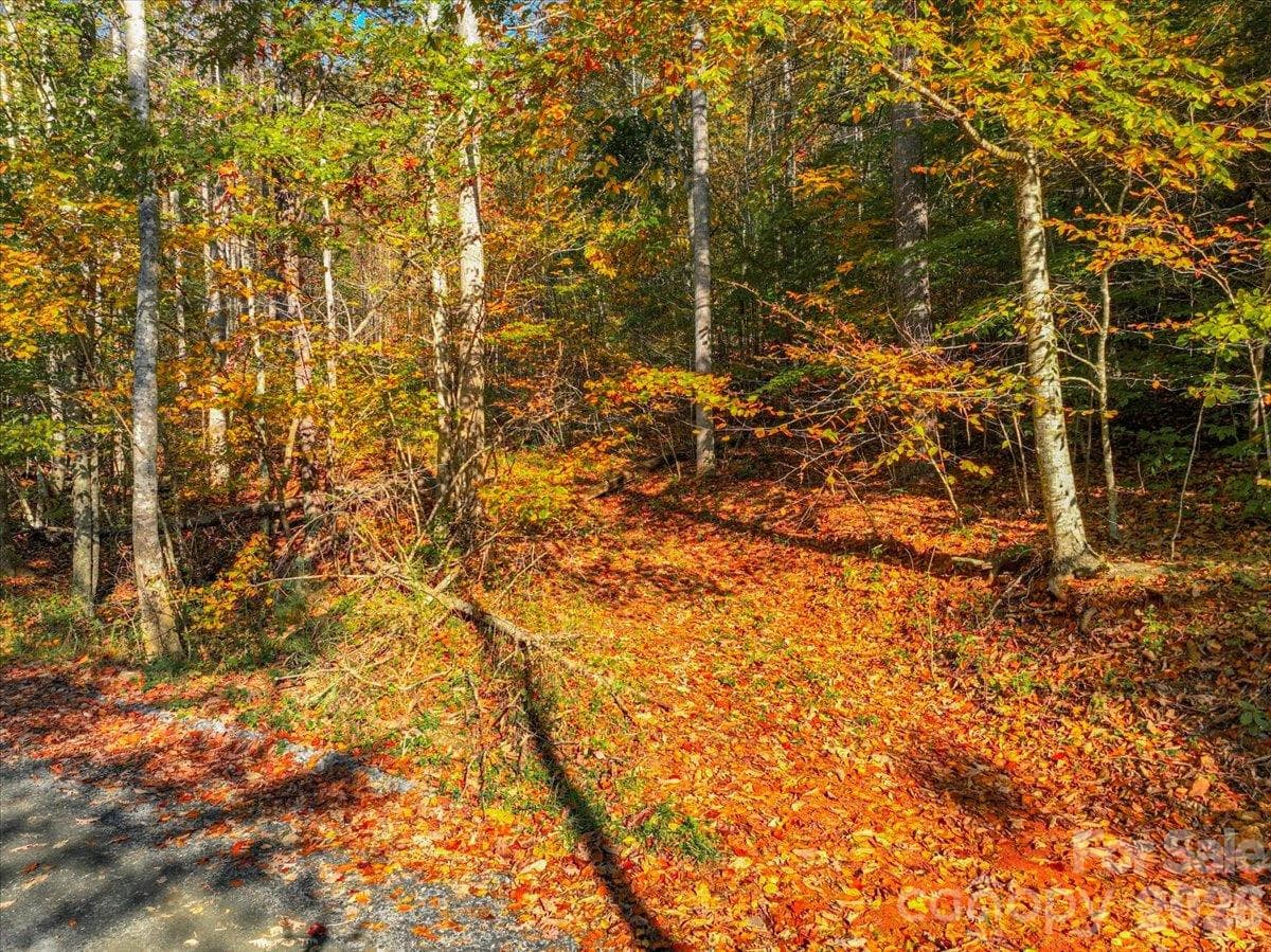 Acreage at 000 Pond Road, Spruce Pine, photo 5 of 14