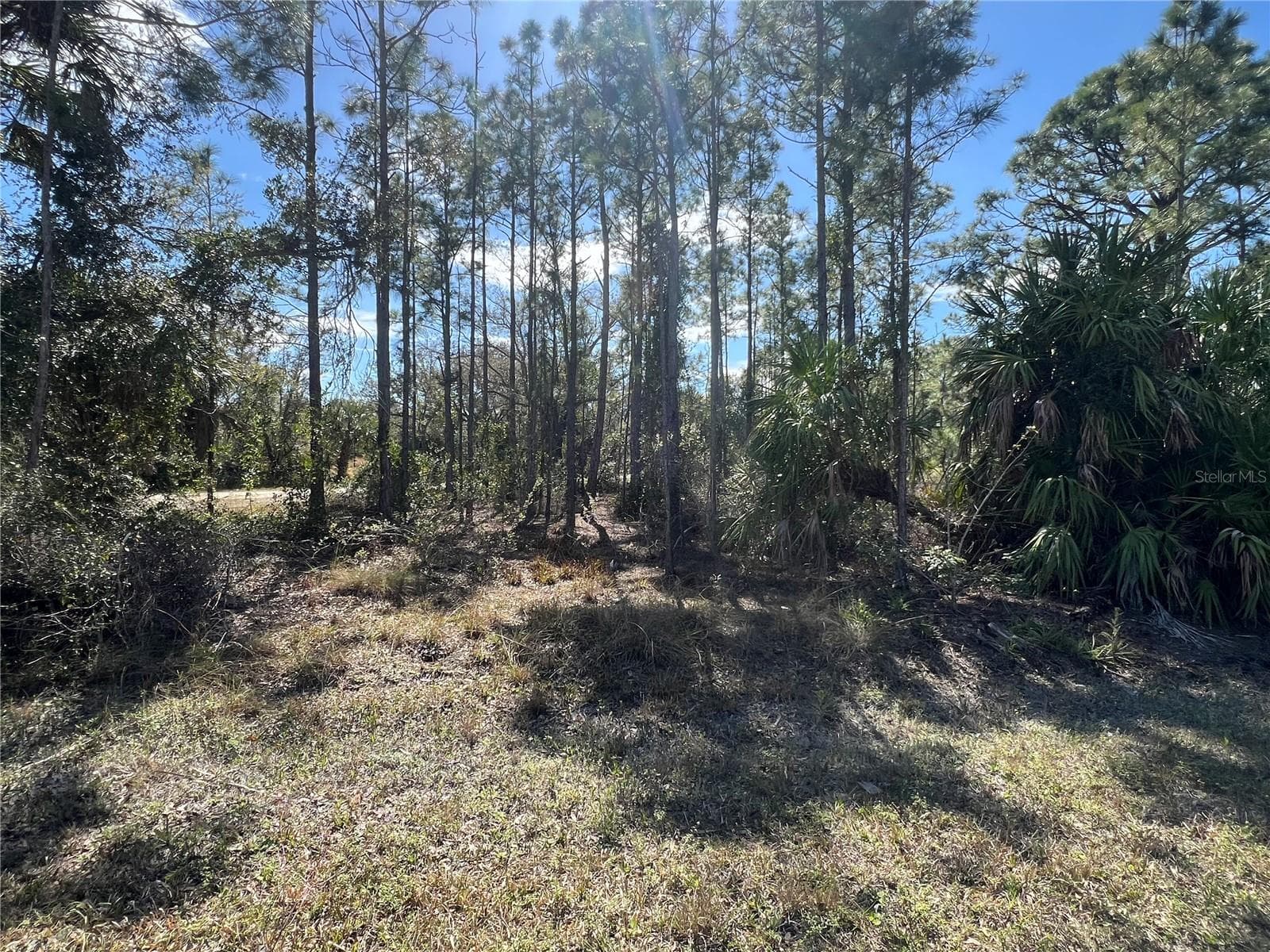 Land at 28019 TREADMILL DR, PUNTA GORDA, photo 3 of 6