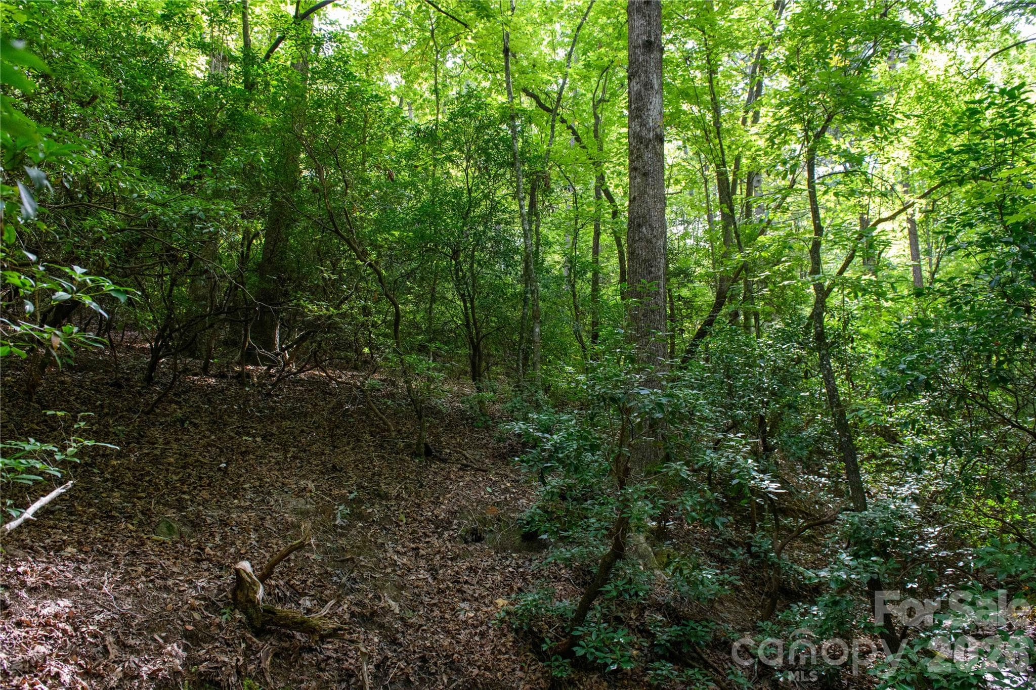 Lot at 0 Bobcat Way, Lake Lure, photo 5 of 14