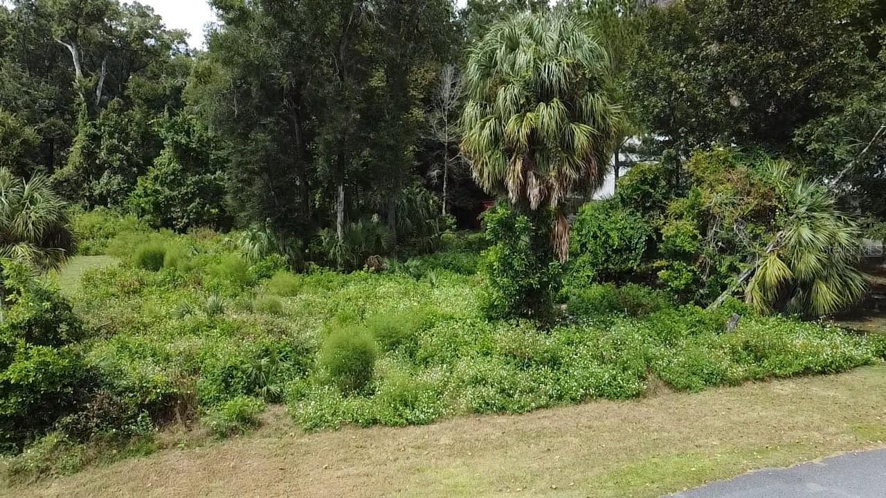 Land at 9239 EMILY DR, FANNING SPRINGS, photo 10 of 10