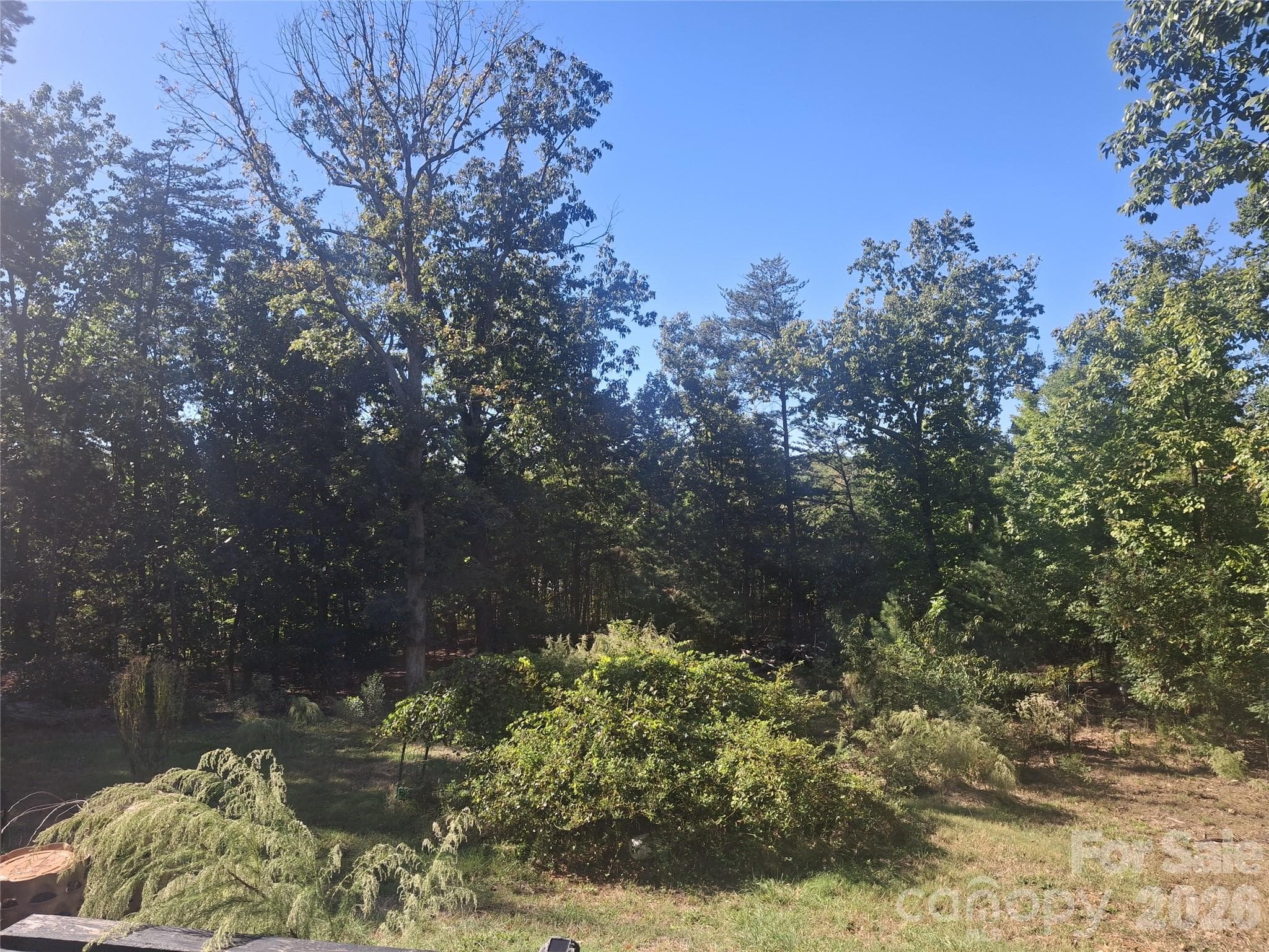 Nature lovers paradise-peach, fig, apple trees, assorted berries, grape vines, chocolate persimmon  No pesticides since 2012 - 9327 Willowglen Trail, Charlotte