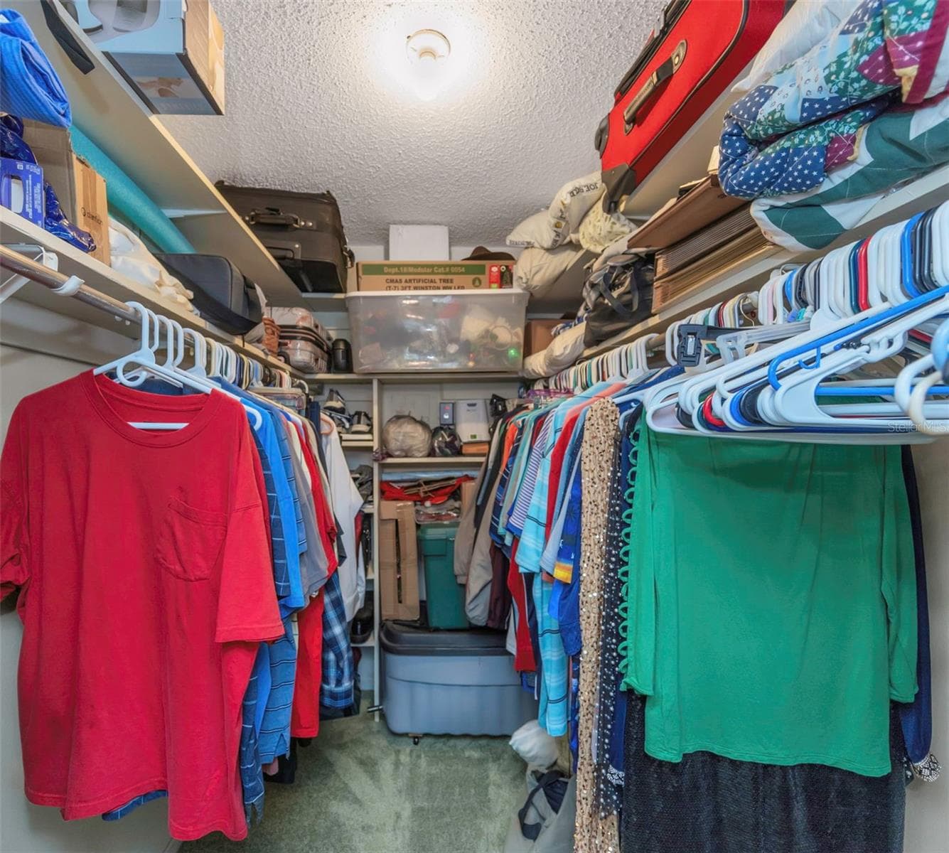 Walk in Closet - 10010 LILY ST N #153, PINELLAS PARK