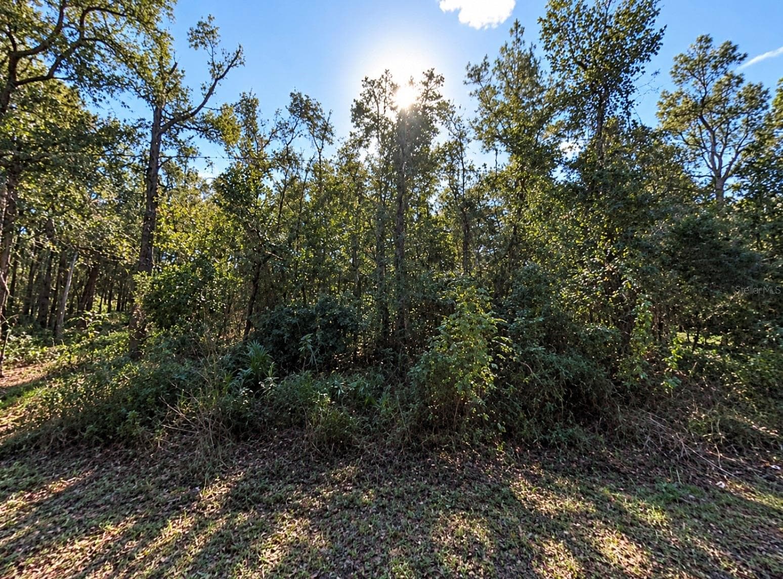 Land at SW 8TH ST, OCALA, photo 2 of 2