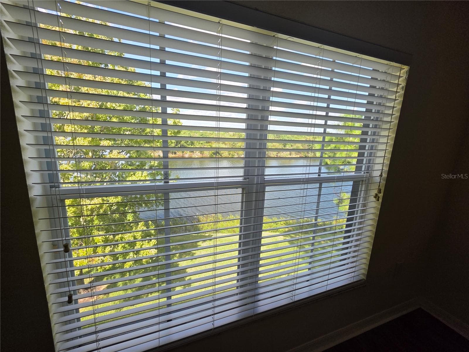 Townhouse at 2401 LEXINGTON OAK DR, BRANDON, photo 28 of 34