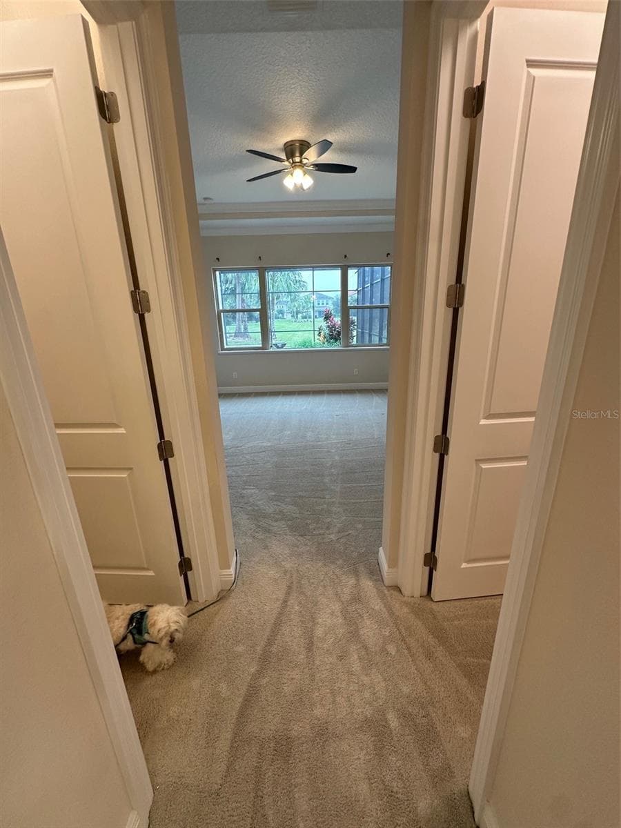 Single Family Residence at 8270 TOPSAIL PL, WINTER GARDEN, photo 17 of 45