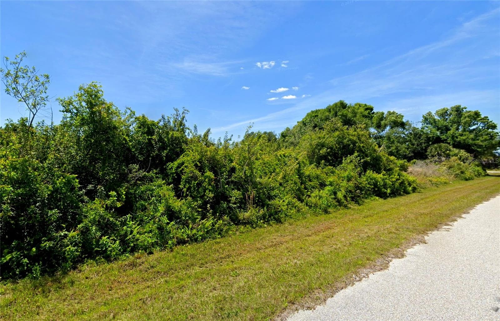 7217 WALCOTT RD