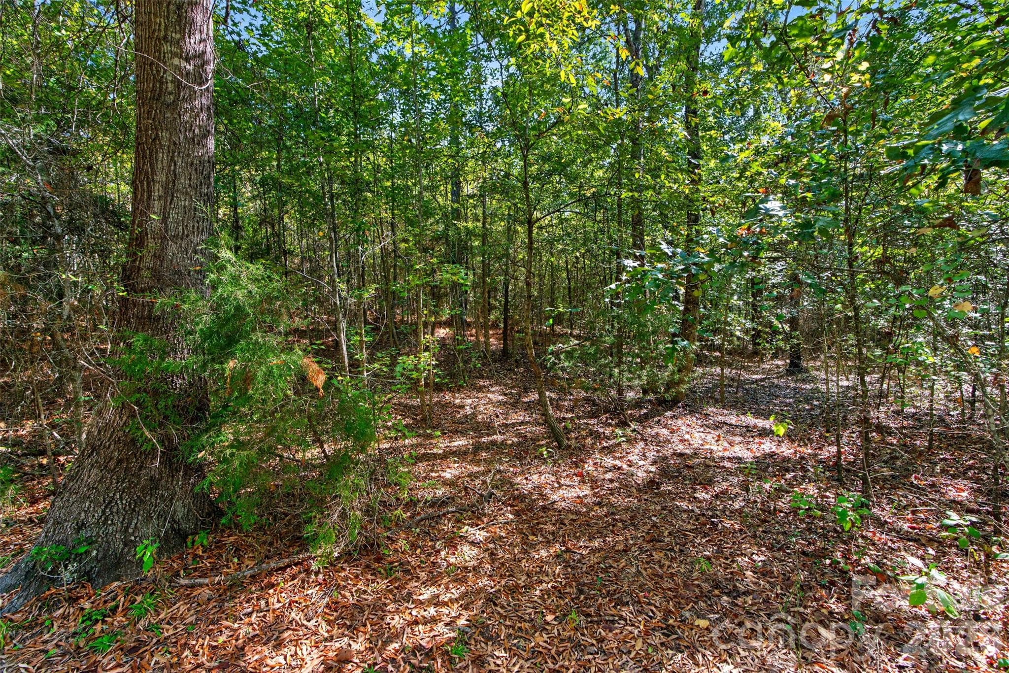 Acreage at 0000 Henderson Road, Lancaster, photo 14 of 36