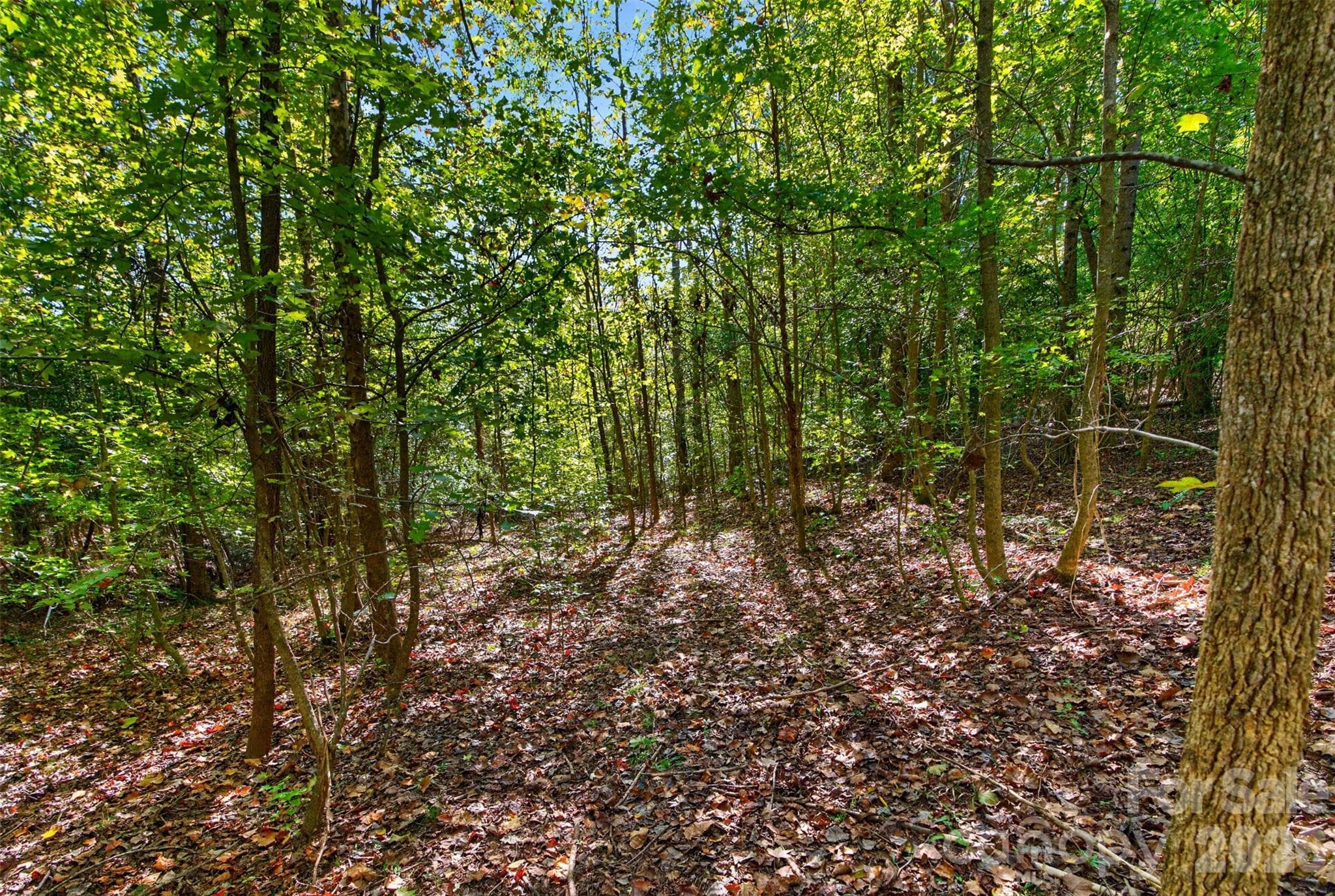 Acreage at 0000 Henderson Road, Lancaster, photo 18 of 36