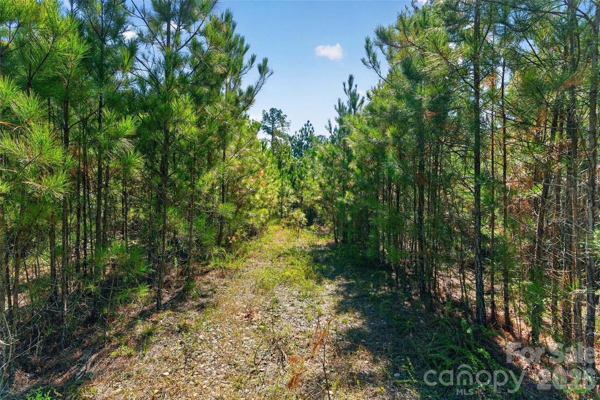 Acreage at 0000 Henderson Road, Lancaster, photo 22 of 36