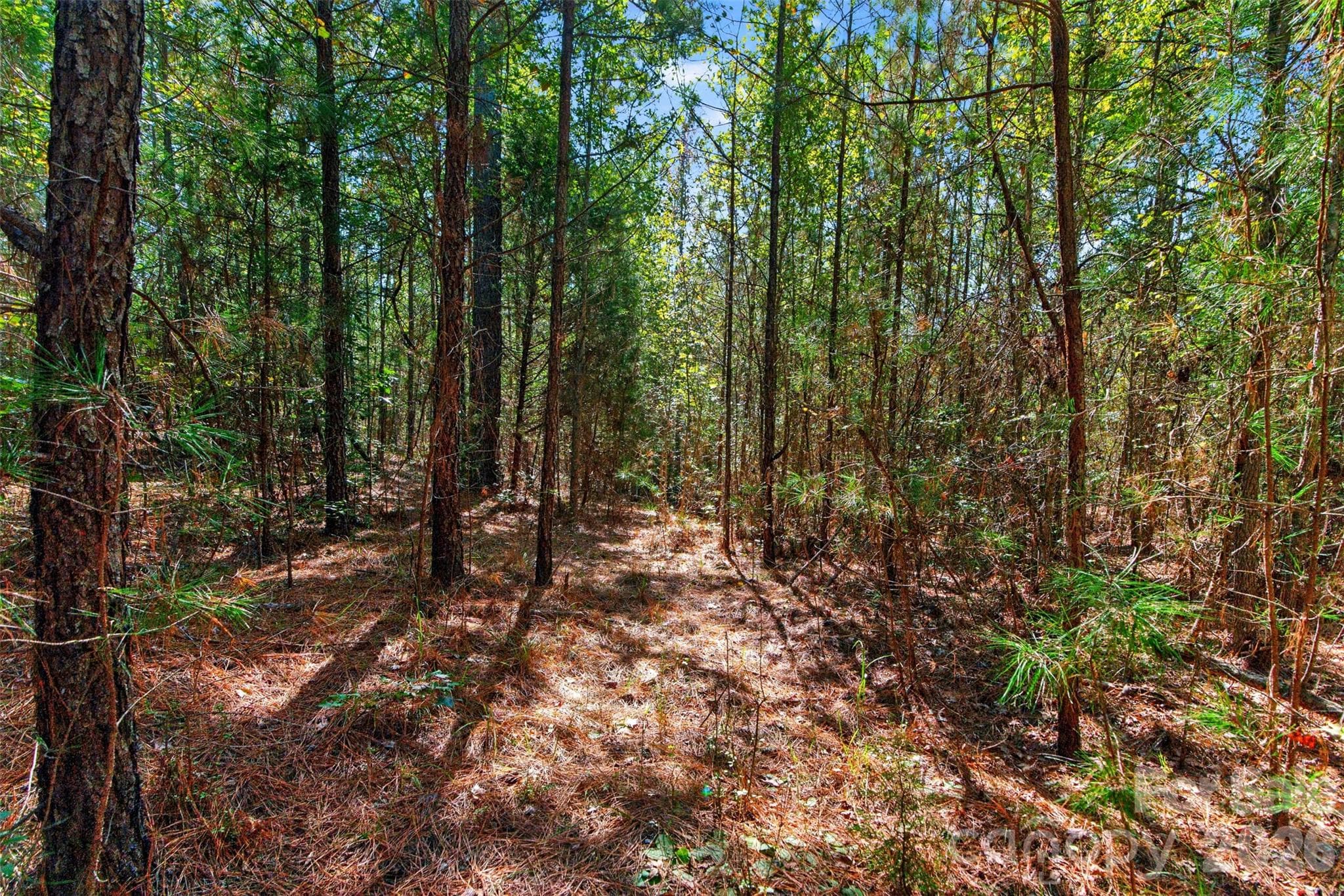 Acreage at 0000 Henderson Road, Lancaster, photo 23 of 36