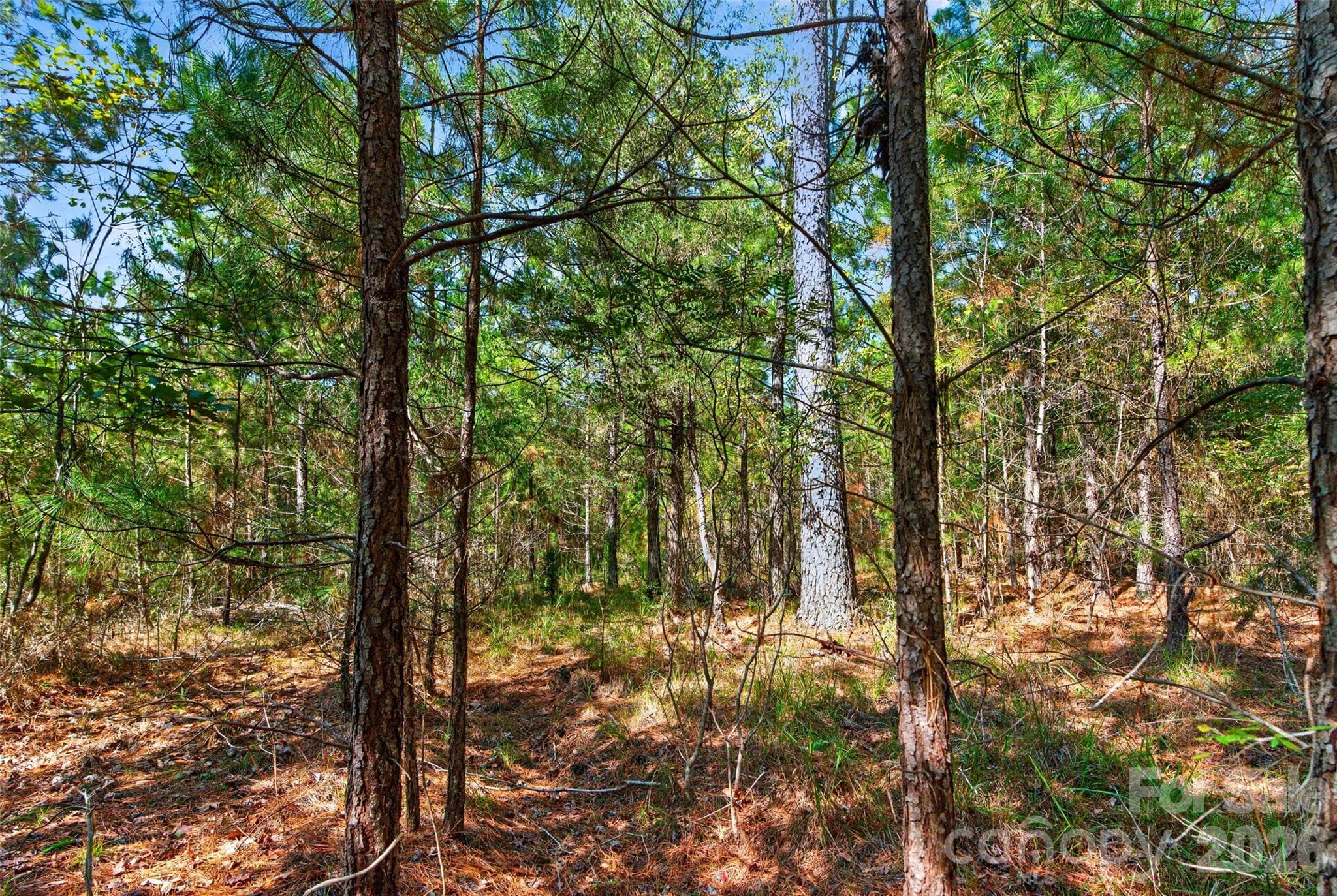 Acreage at 0000 Henderson Road, Lancaster, photo 24 of 36