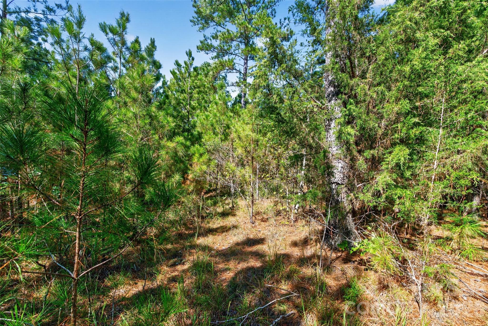Acreage at 0000 Henderson Road, Lancaster, photo 26 of 36