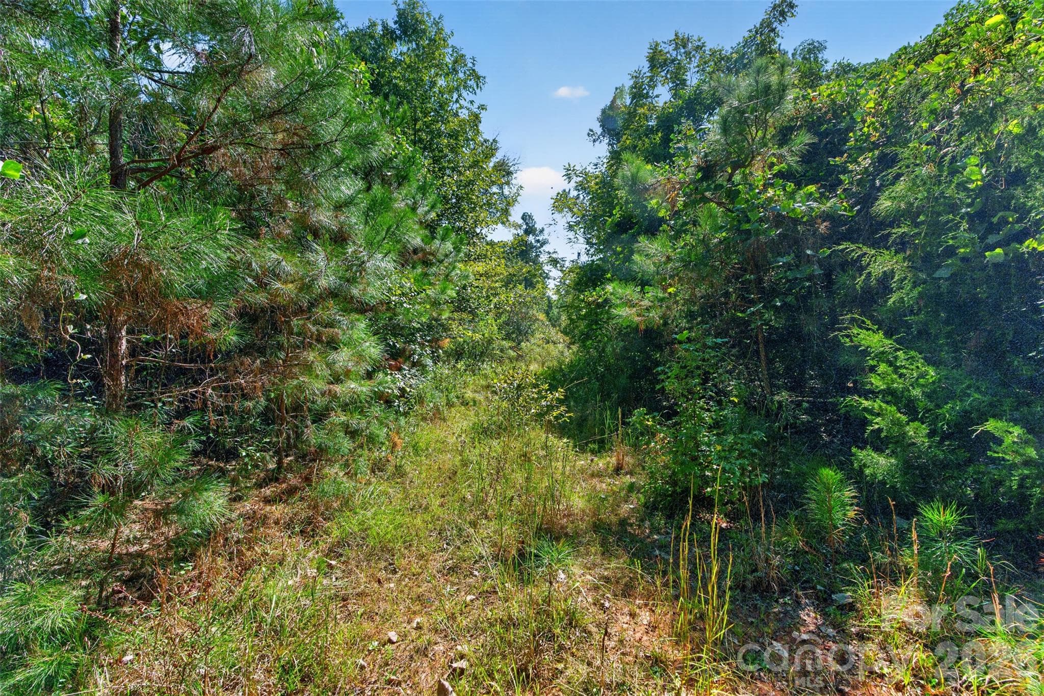 Acreage at 0000 Henderson Road, Lancaster, photo 33 of 36