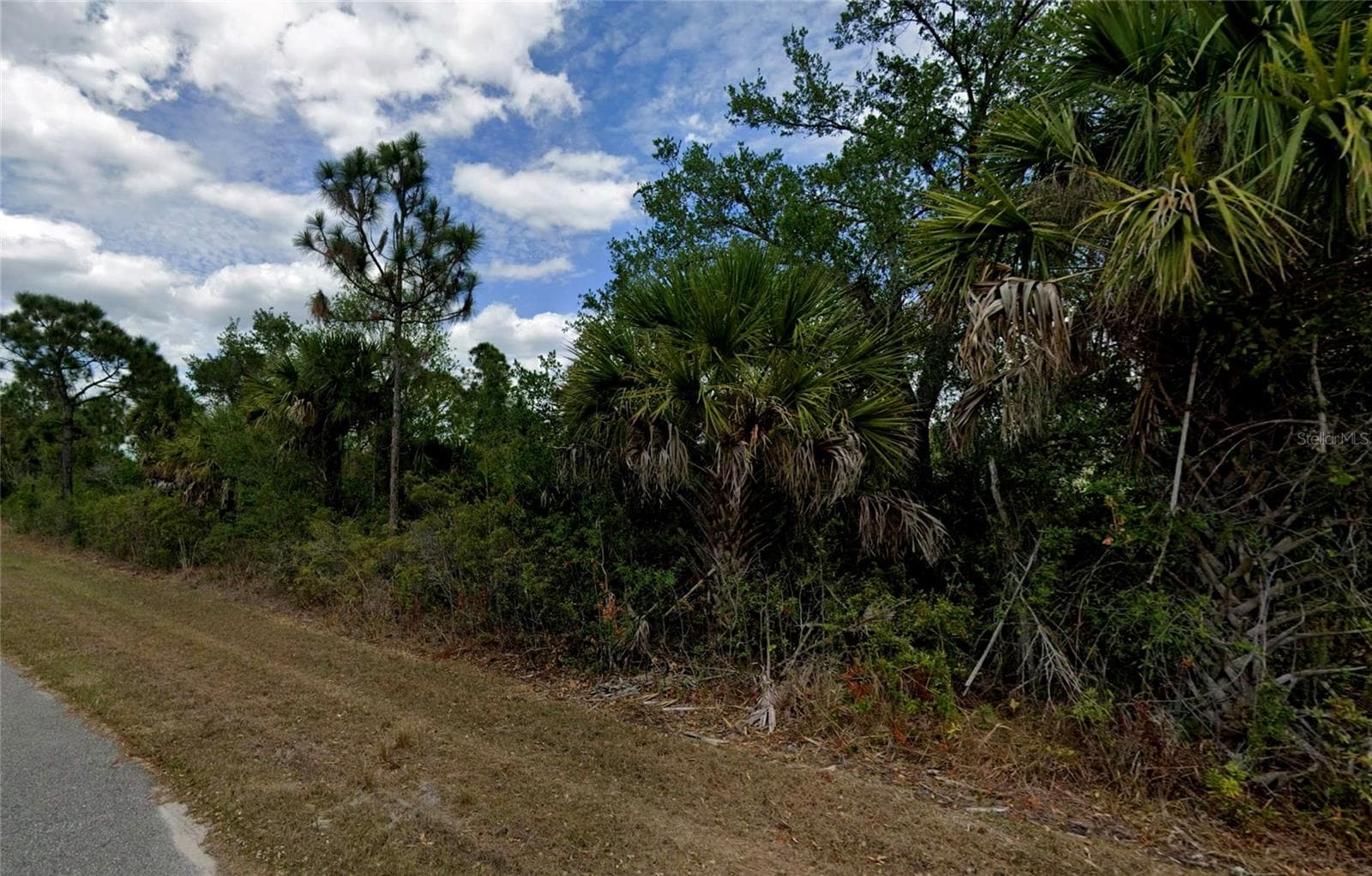 Land at 116 GALILEE ST, PORT CHARLOTTE, photo 3 of 4