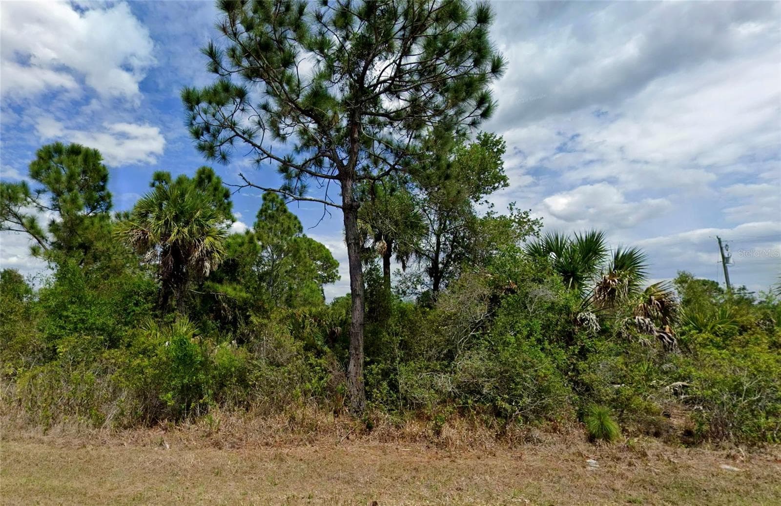 Land at 124 GALILEE ST, PORT CHARLOTTE, photo 2 of 4