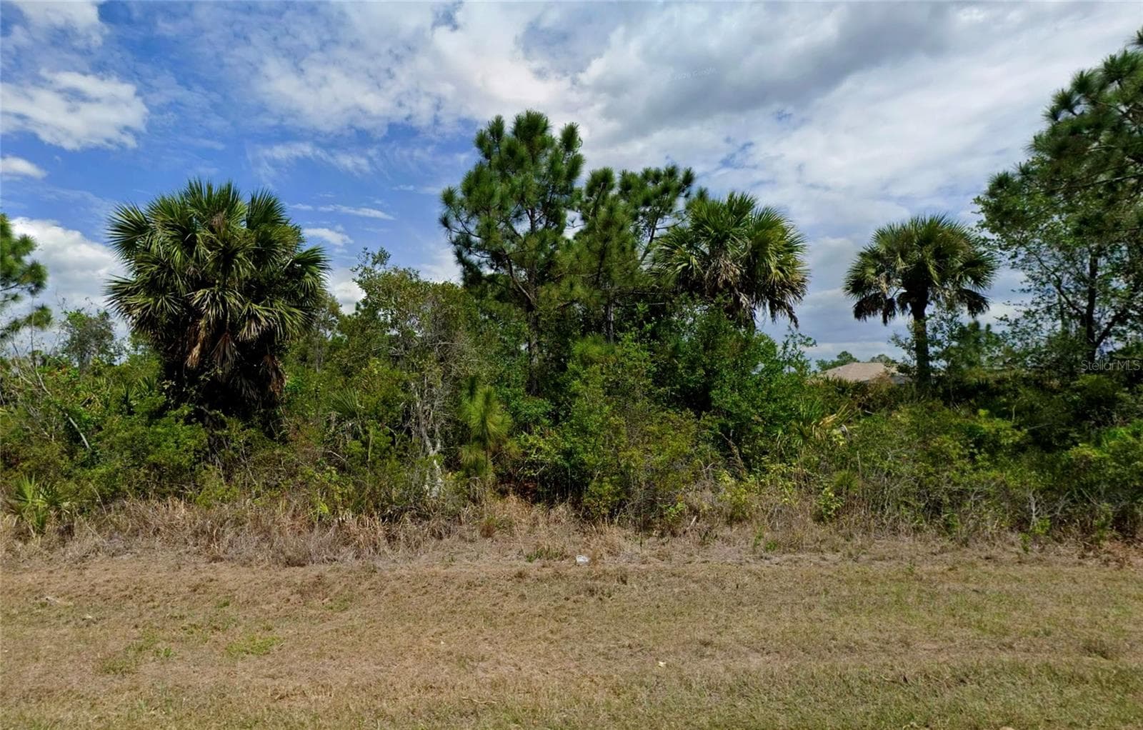 Land at 124 GALILEE ST, PORT CHARLOTTE, photo 3 of 4