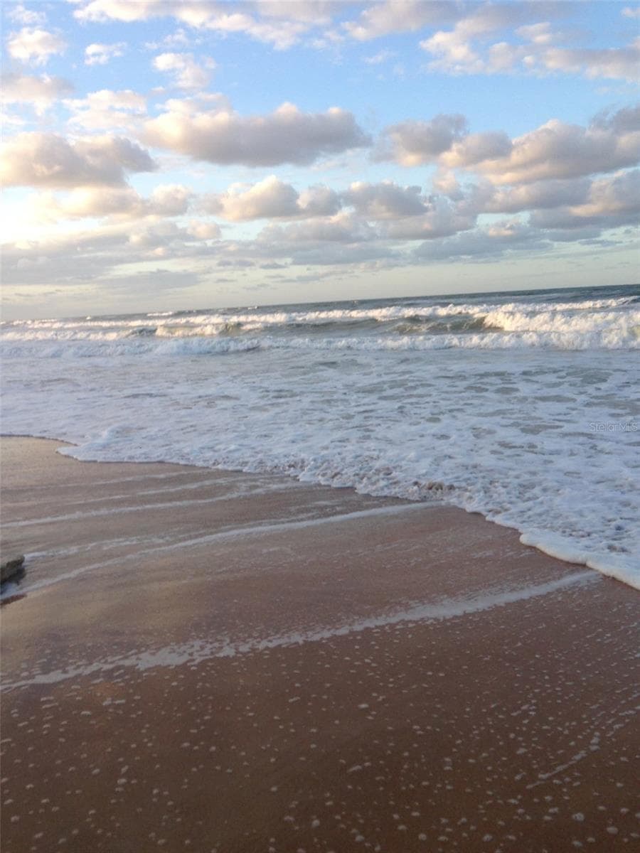 Collect those treasure on the beach - 50 MEDFORD DR, PALM COAST