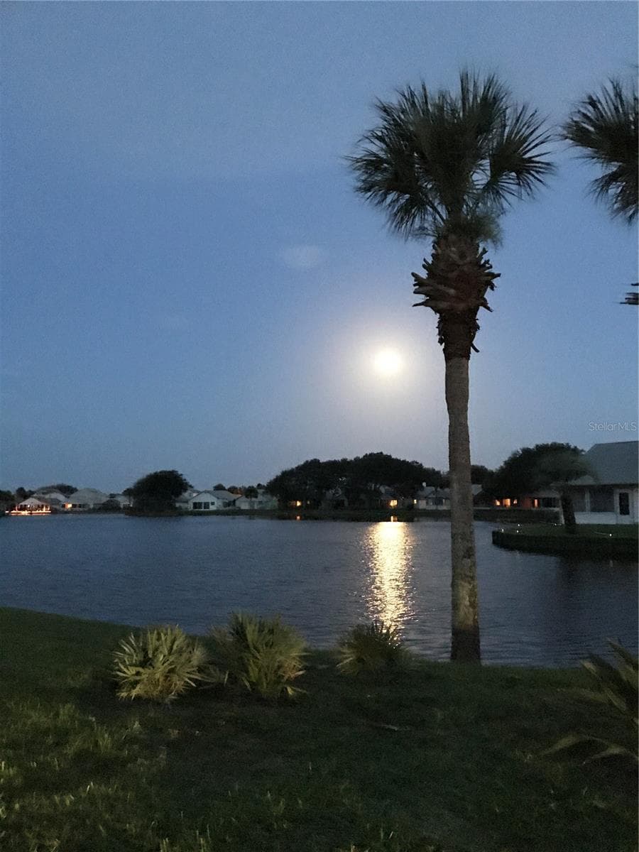 Moon over ocean - 50 MEDFORD DR, PALM COAST