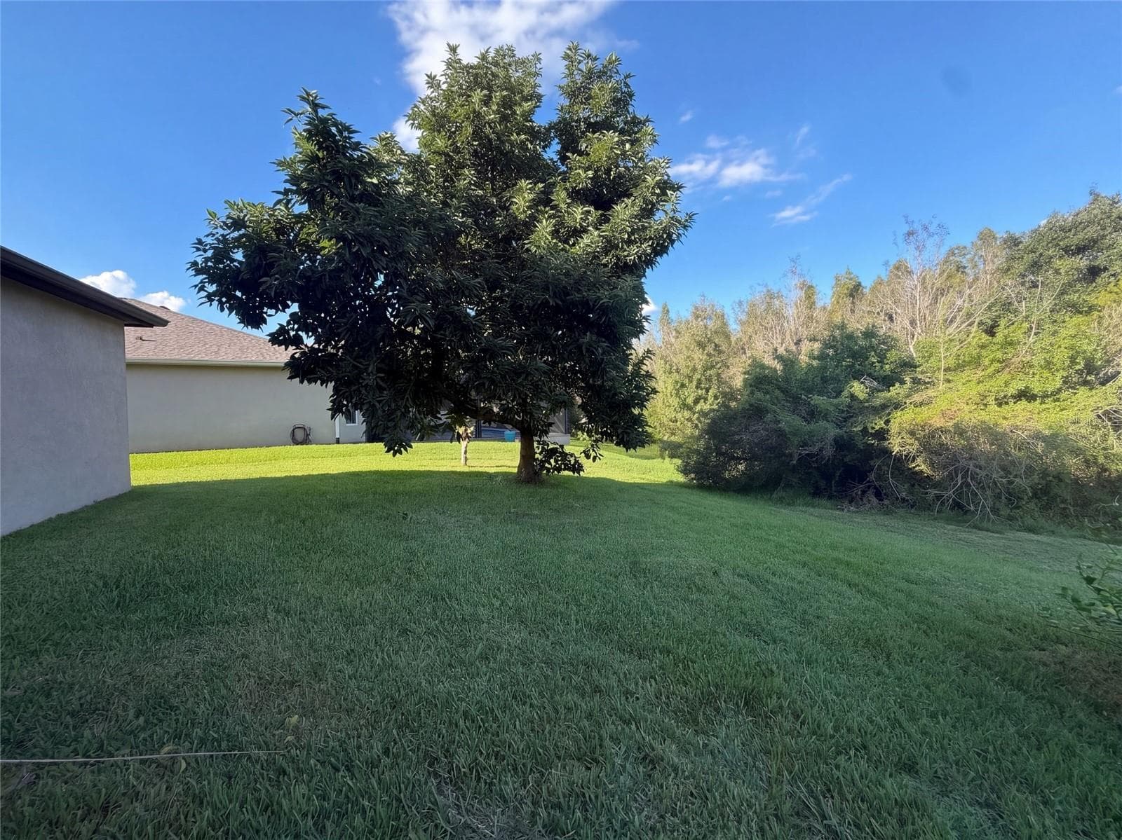 Single Family Residence at 12424 BELCROFT DR, RIVERVIEW, photo 33 of 34