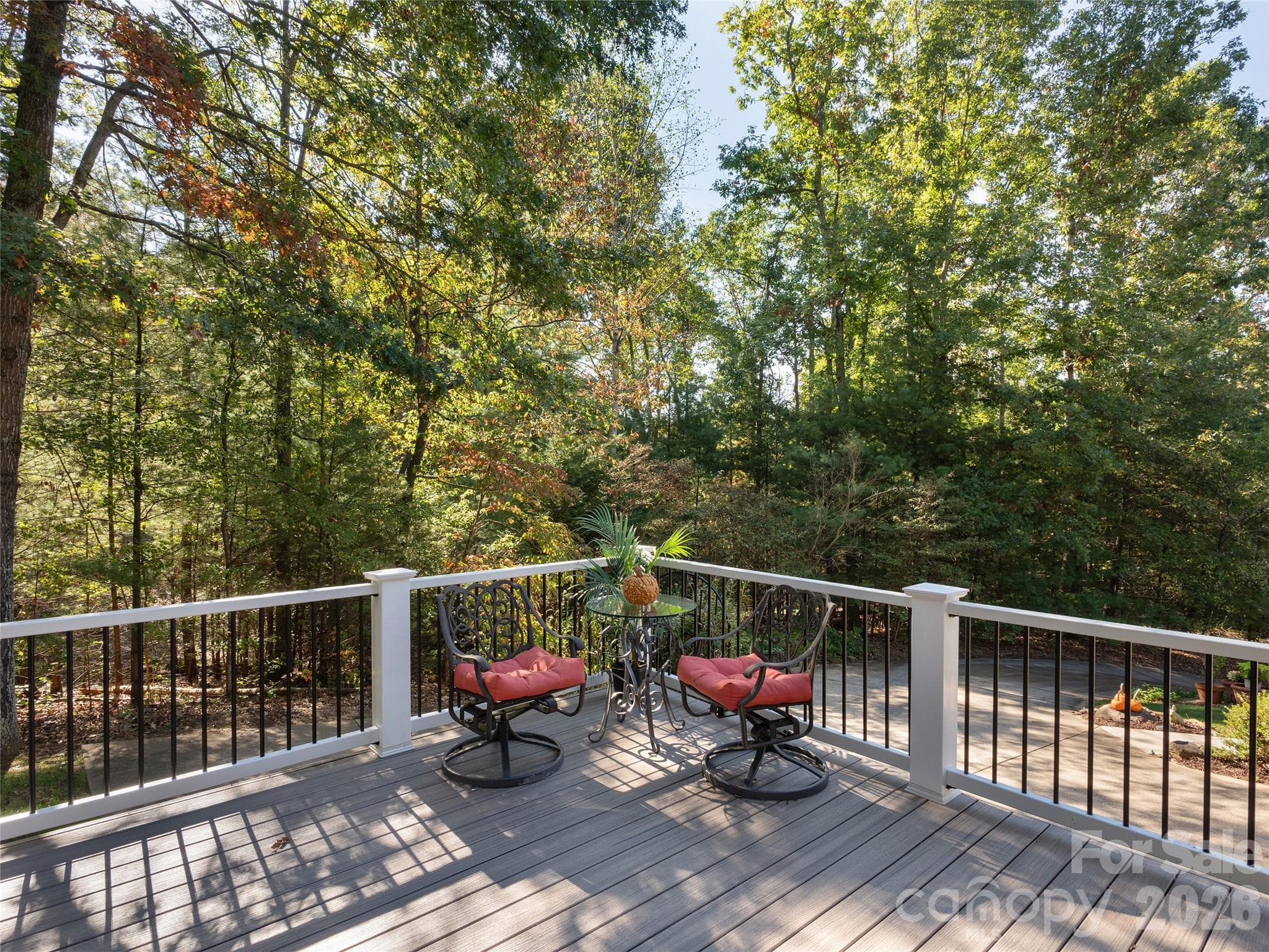 Single Family Residence at 302 Yellowood Lane, Asheville, photo 22 of 48