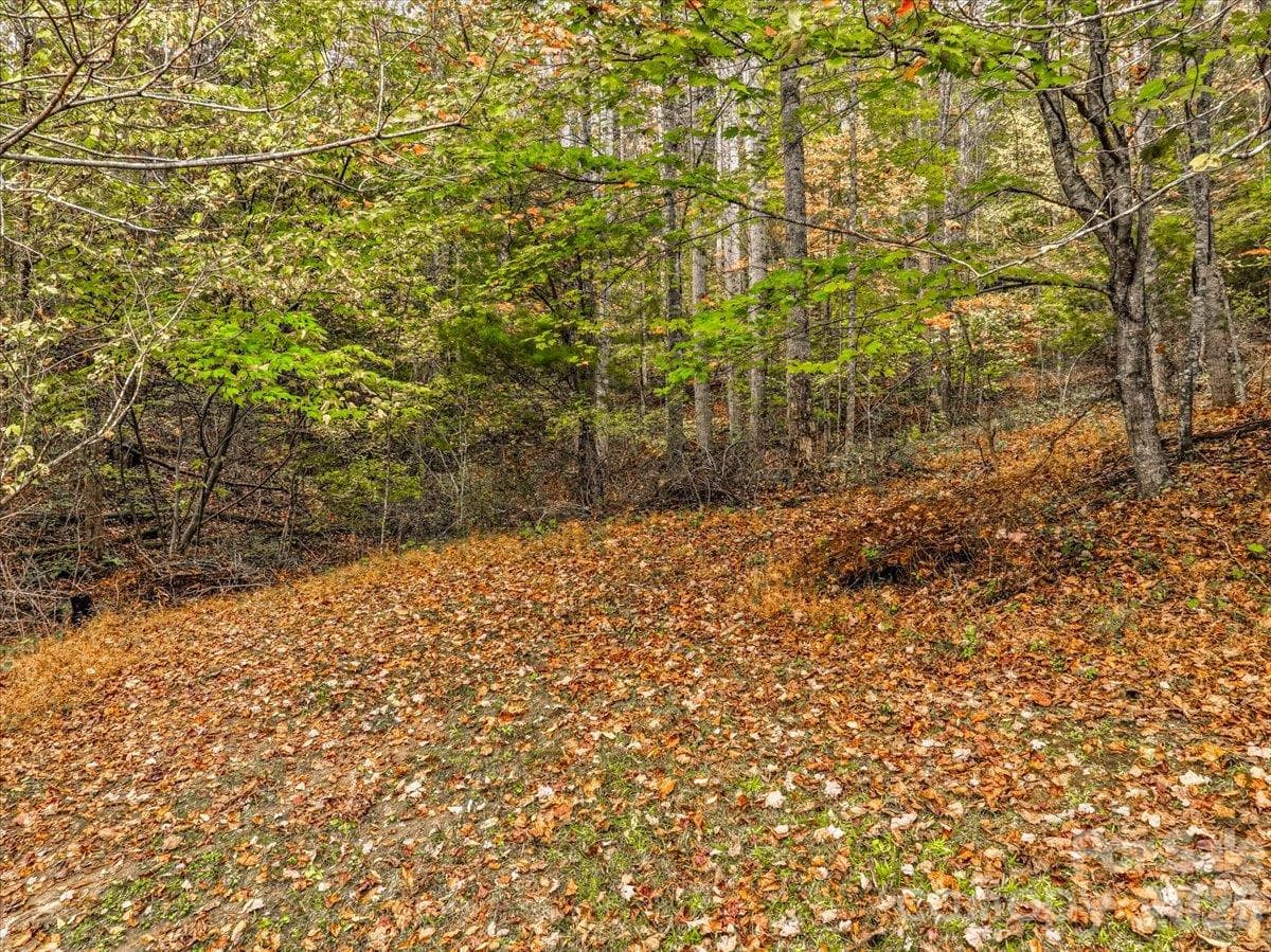 Acreage at 3045 Double Island Road, Green Mountain, photo 5 of 21