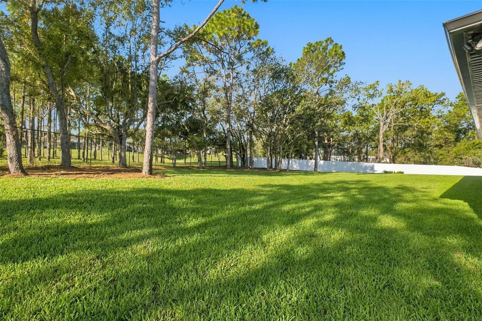 huge fenced yard - 12014 SAPPHIRE DR, SPRING HILL
