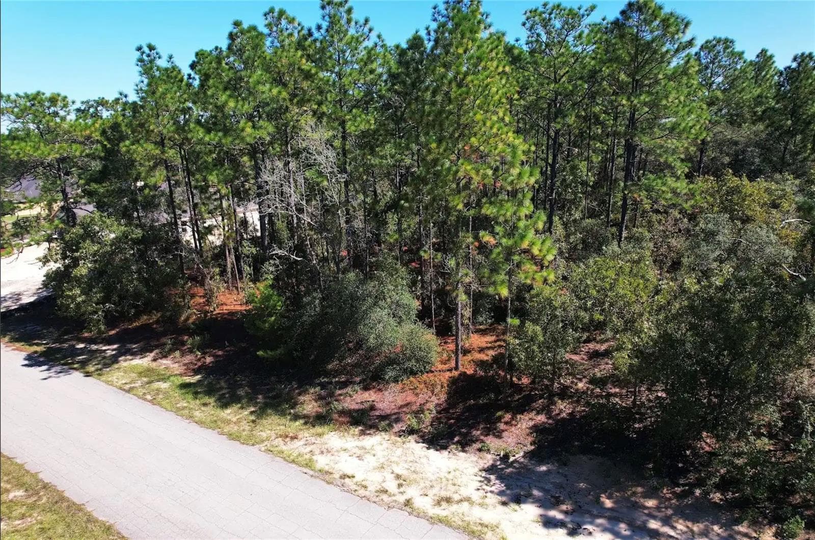 Land at 4060 W ALAMO DR, BEVERLY HILLS, photo 4 of 5