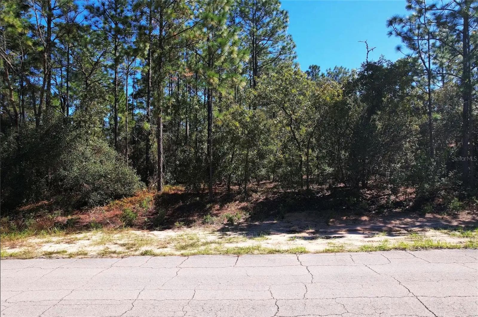Land at 4060 W ALAMO DR, BEVERLY HILLS, photo 5 of 5