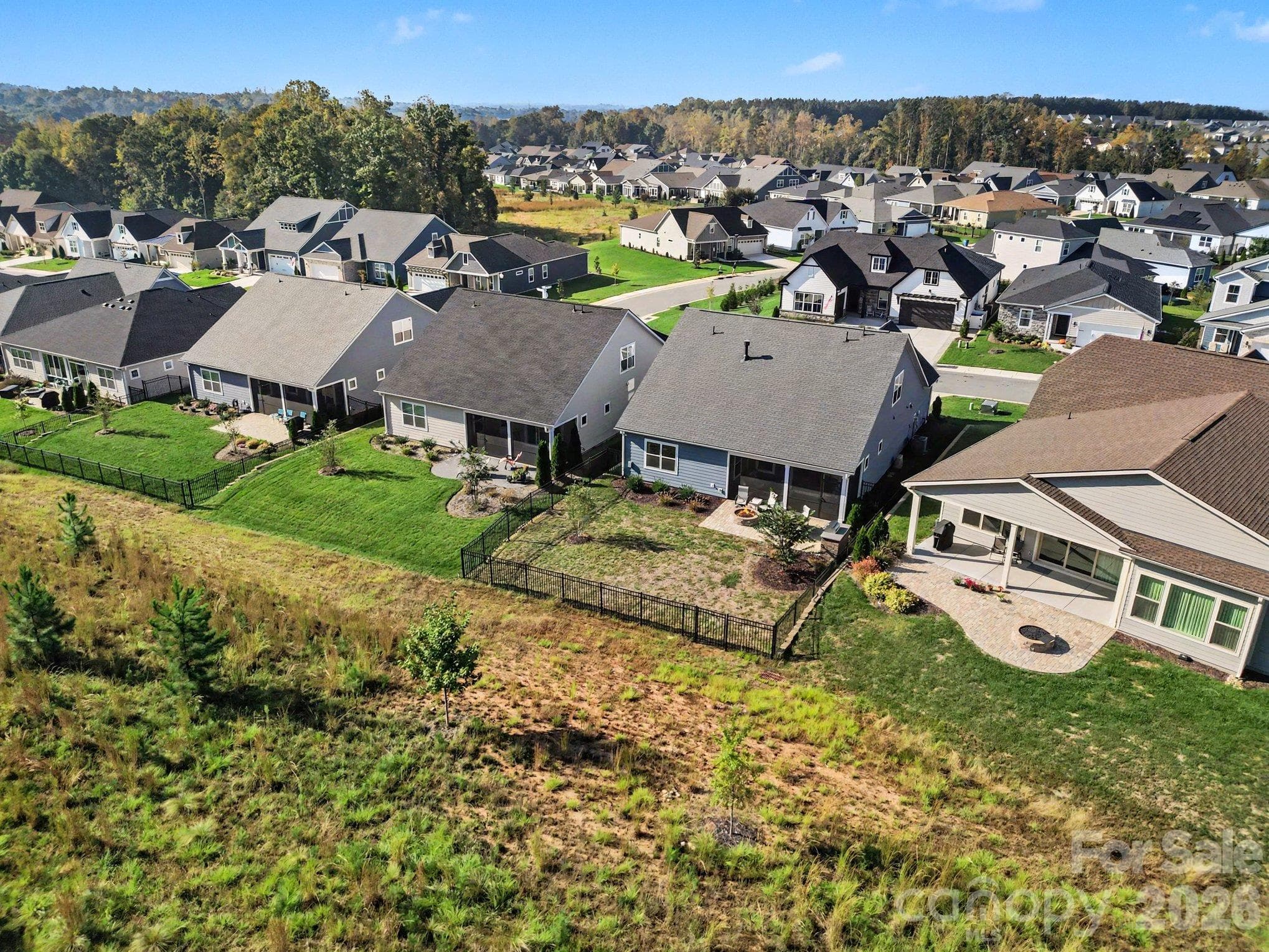 Aerial view of backyard - 5605 Caneel Lane, Denver