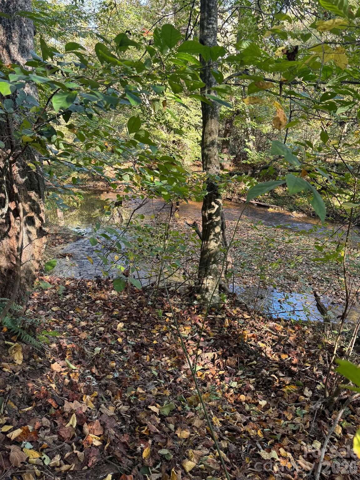 Acreage at 15.43 ac Whisper Ridge Lane, Thurmond, photo 7 of 45
