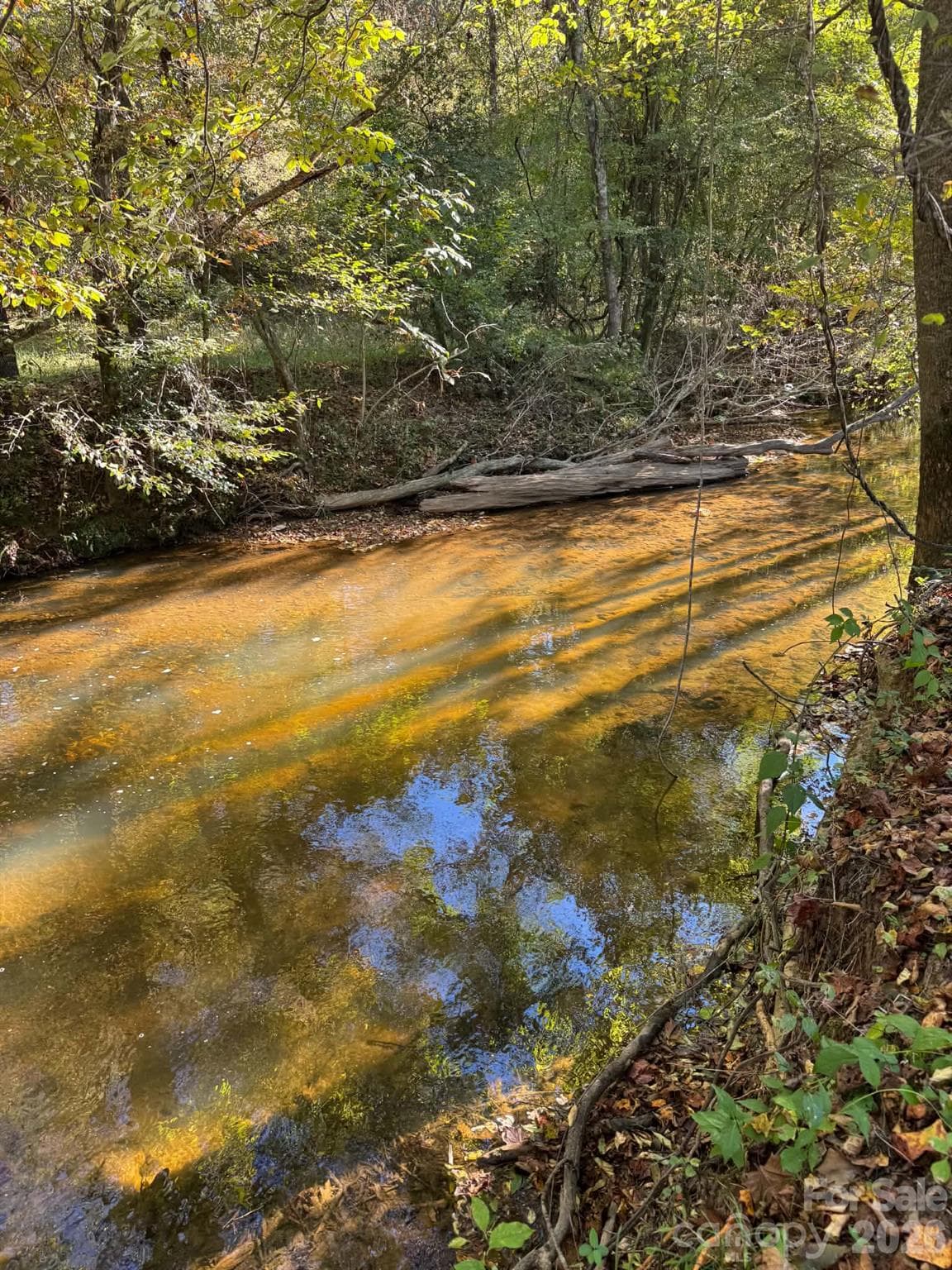 Acreage at 15.43 ac Whisper Ridge Lane, Thurmond, photo 14 of 45