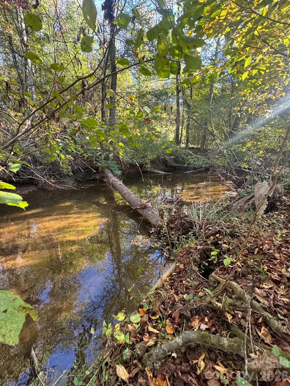 Acreage at 15.43 ac Whisper Ridge Lane, Thurmond, photo 15 of 45
