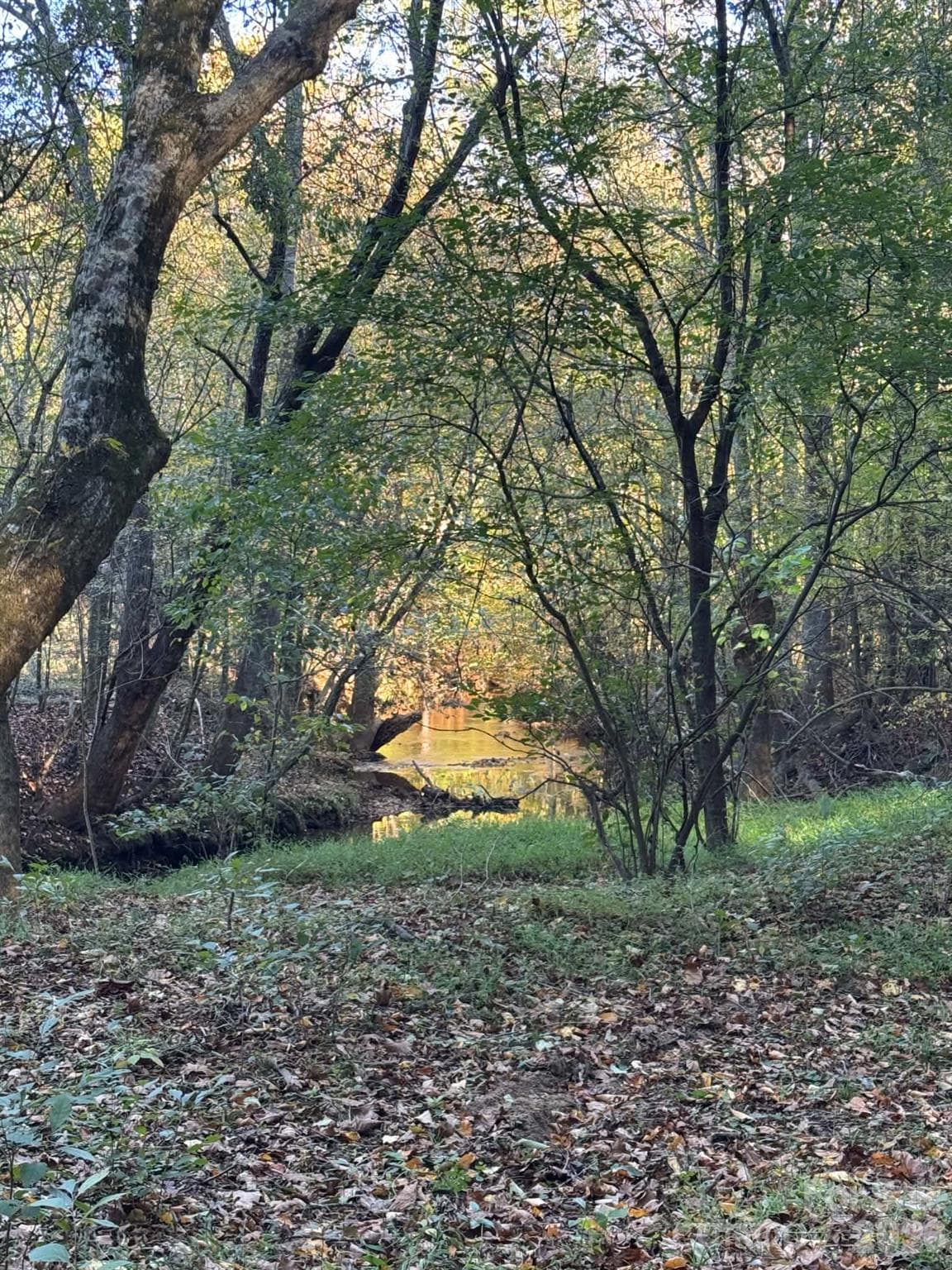 Acreage at 15.43 ac Whisper Ridge Lane, Thurmond, photo 25 of 45
