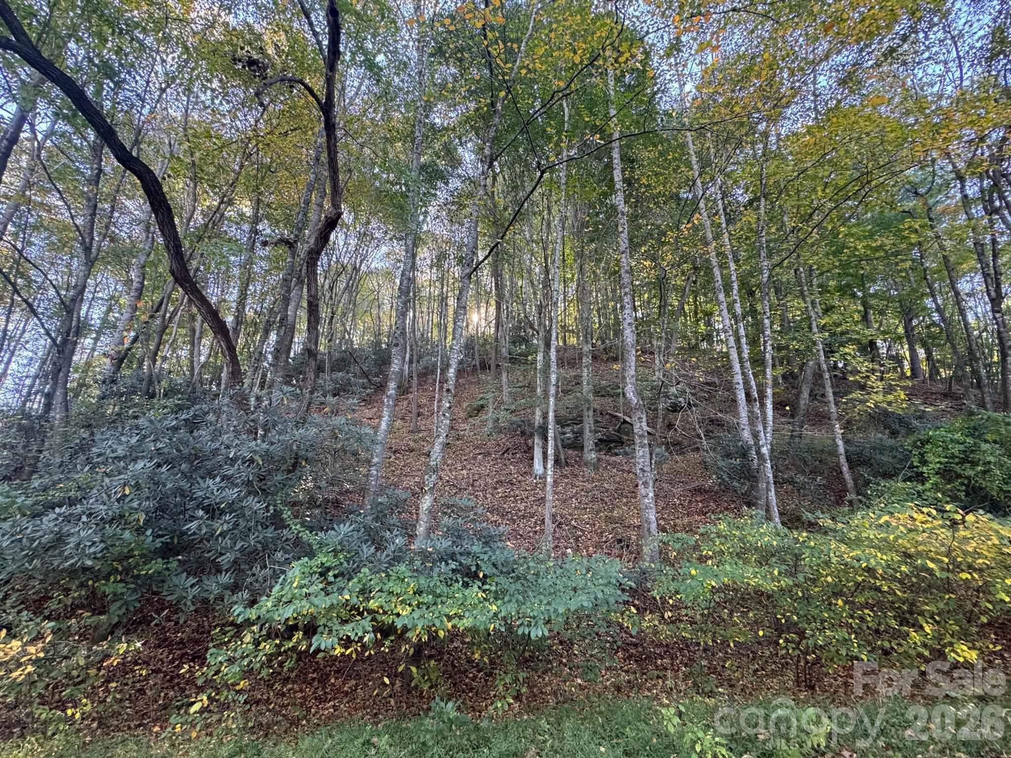 Acreage at 15.43 ac Whisper Ridge Lane, Thurmond, photo 27 of 45