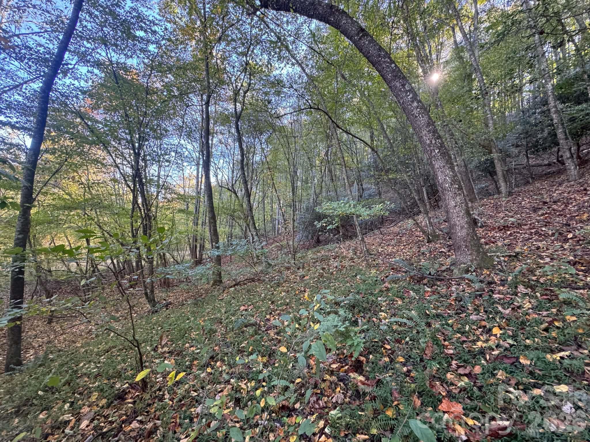 Acreage at 15.43 ac Whisper Ridge Lane, Thurmond, photo 33 of 45