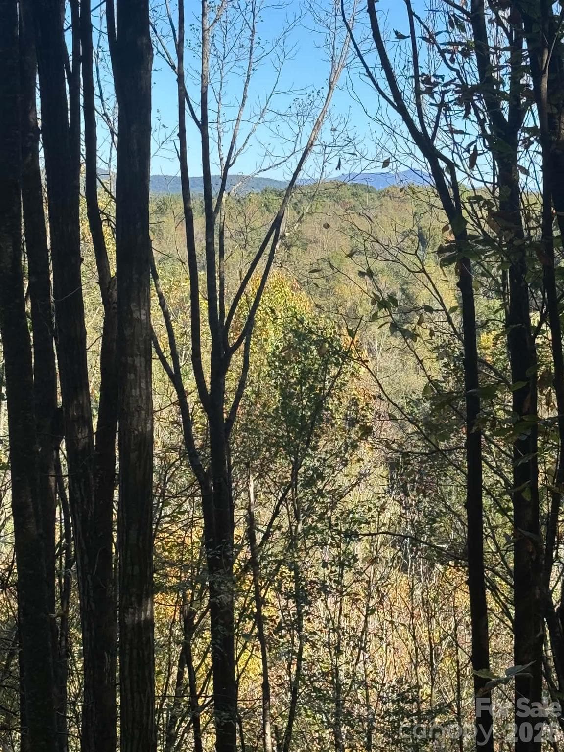 Acreage at 15.43 ac Whisper Ridge Lane, Thurmond, photo 37 of 45