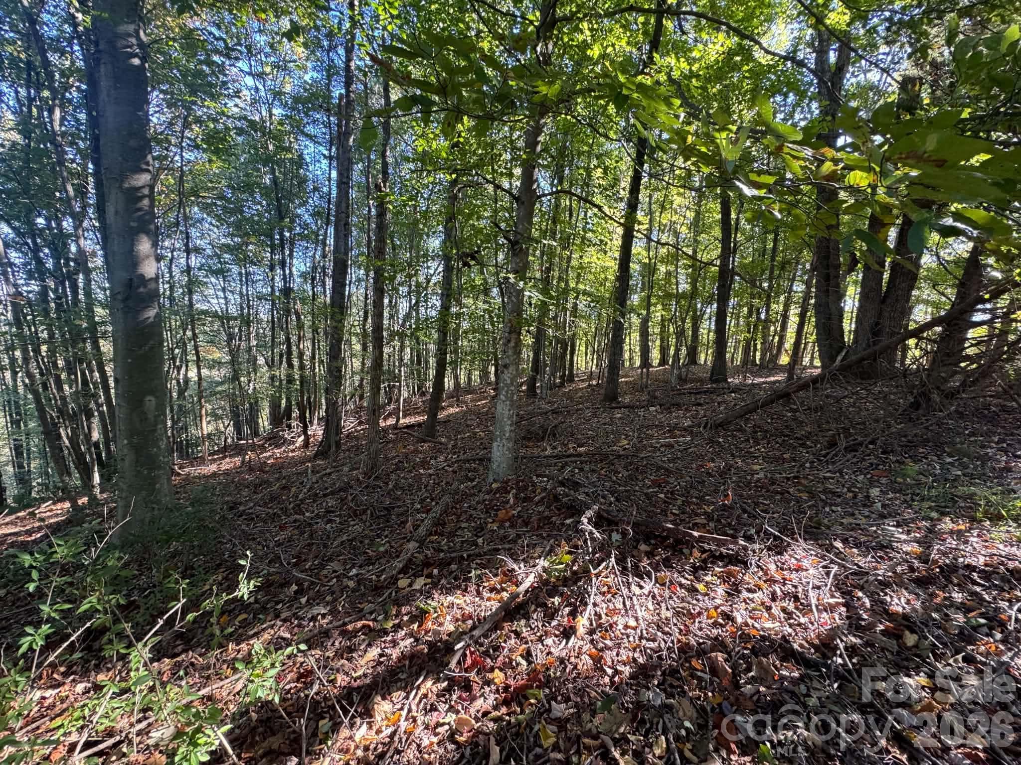Acreage at 15.43 ac Whisper Ridge Lane, Thurmond, photo 44 of 45