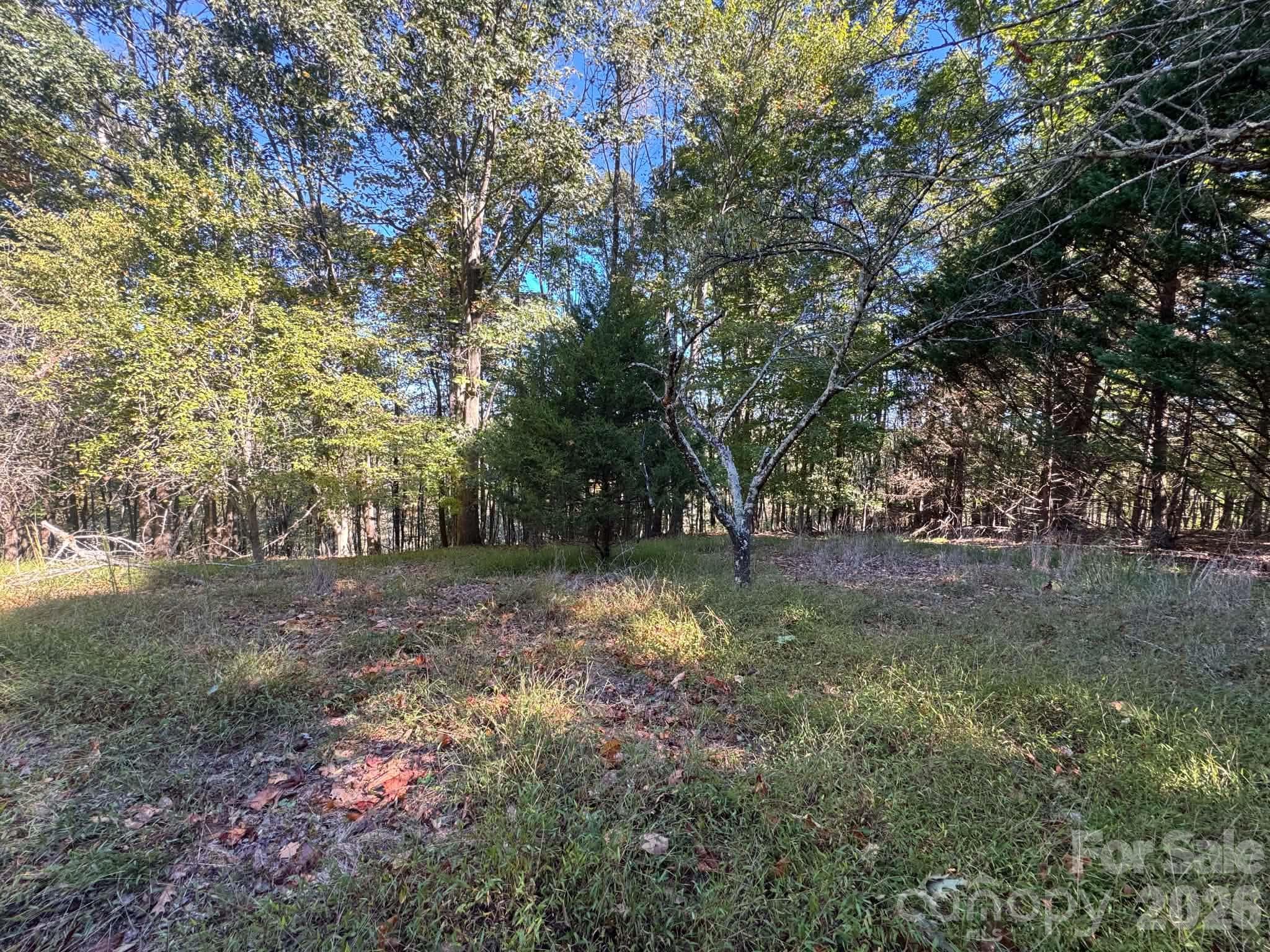 Acreage at 15.43 ac Whisper Ridge Lane, Thurmond, photo 45 of 45