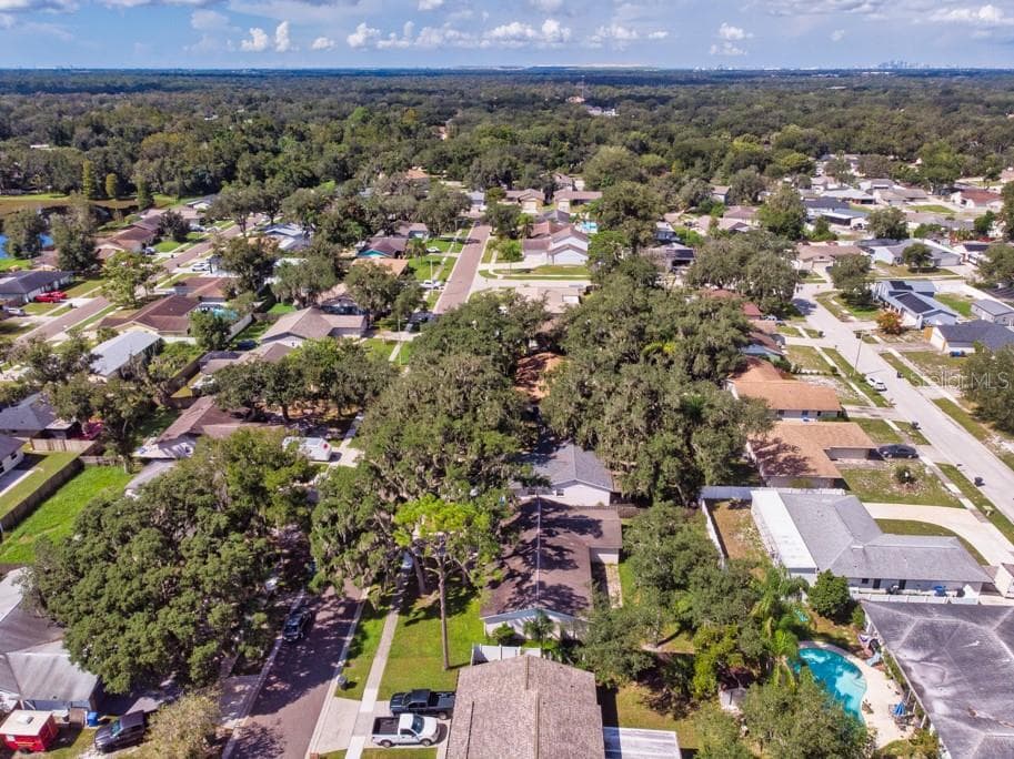 Single Family Residence at 518 WYNNWOOD DR, BRANDON, photo 61 of 64