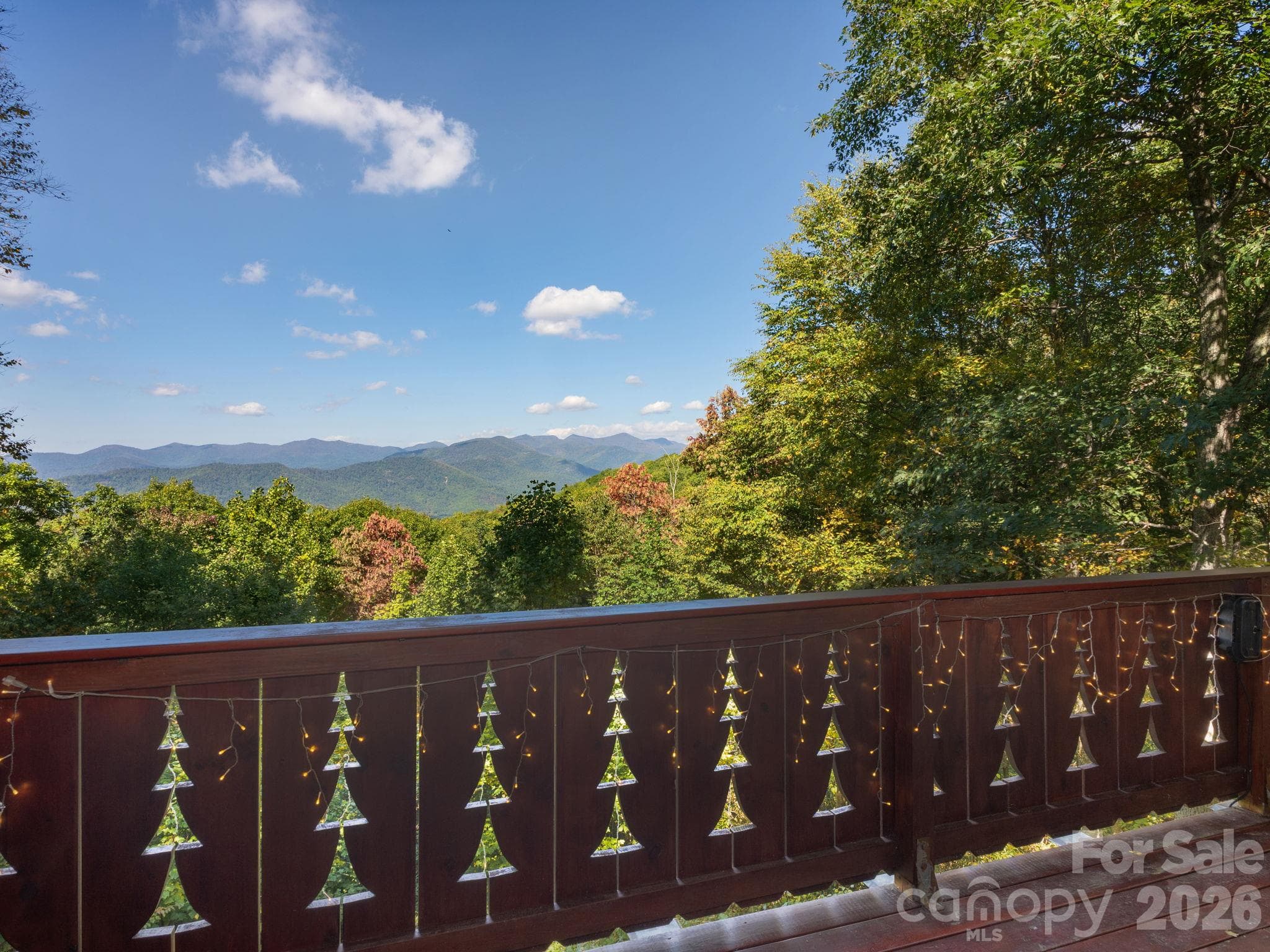 Single Family Residence at 8 Edelweiss Lane, Swannanoa, photo 21 of 23