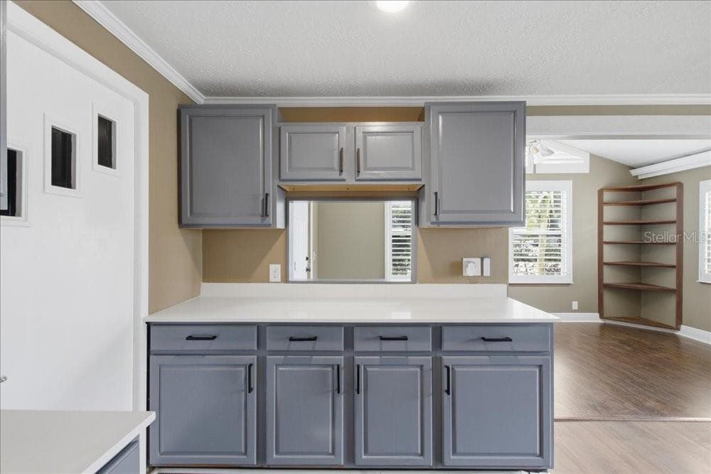 Kitchen - 171 STANLEY BELL DR, MOUNT DORA