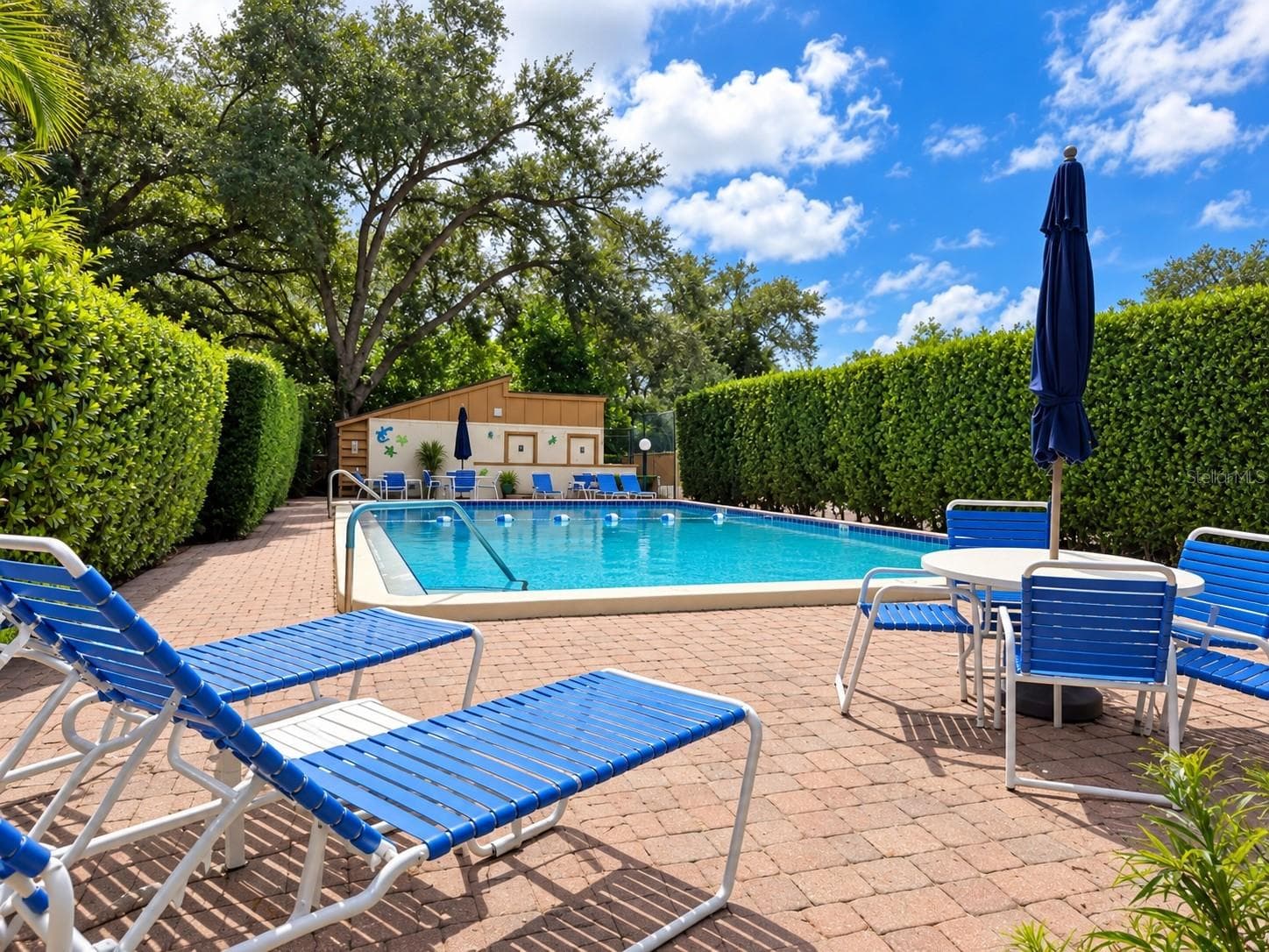 Pool Time! - 2310 QUAIL CT, BRADENTON