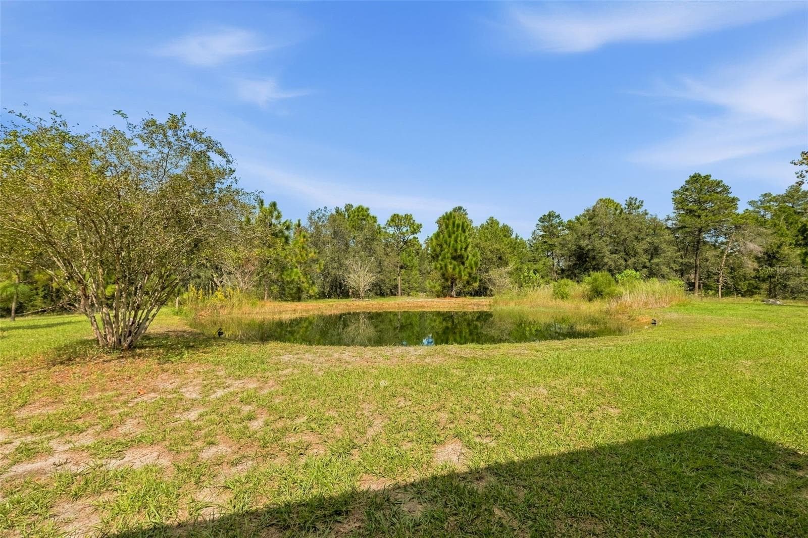 Single Family Residence at 8743 OSTROM WAY, WEEKI WACHEE, photo 72 of 99