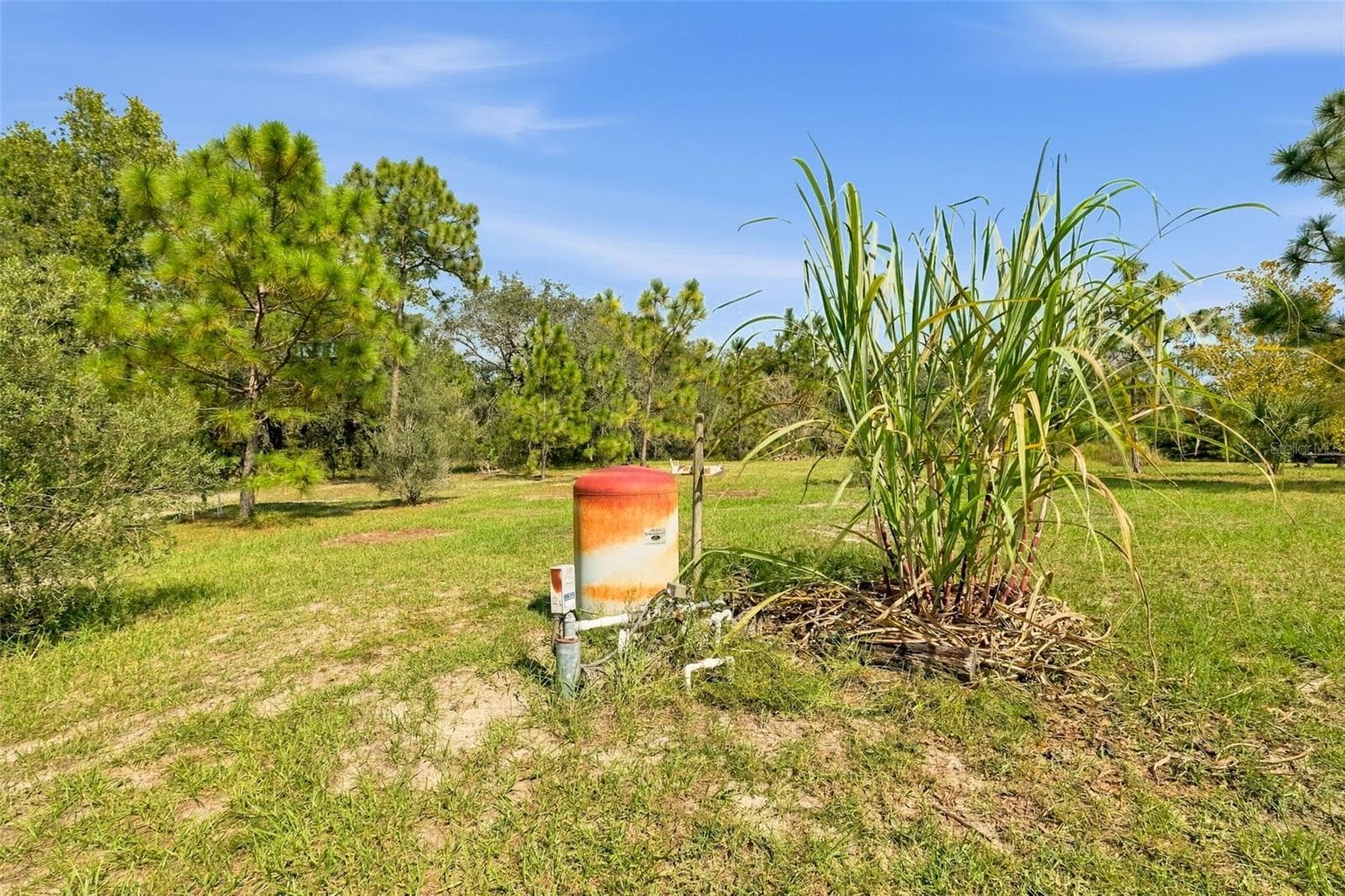 Single Family Residence at 8743 OSTROM WAY, WEEKI WACHEE, photo 75 of 99