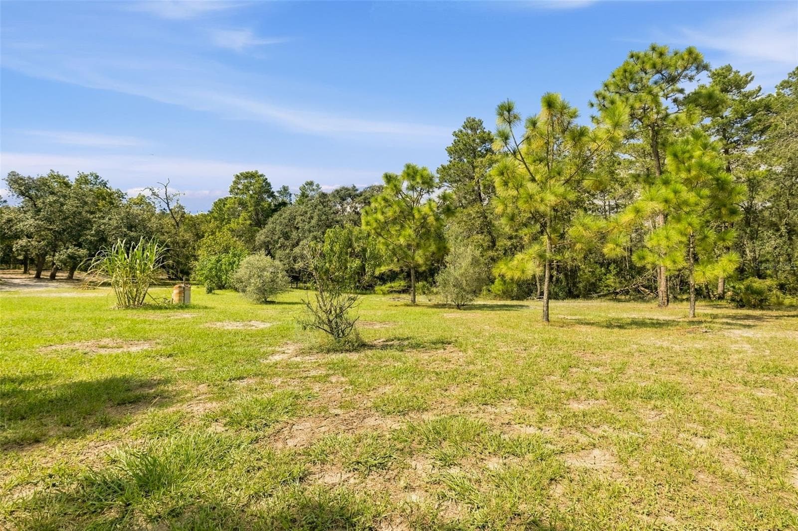 Single Family Residence at 8743 OSTROM WAY, WEEKI WACHEE, photo 78 of 99