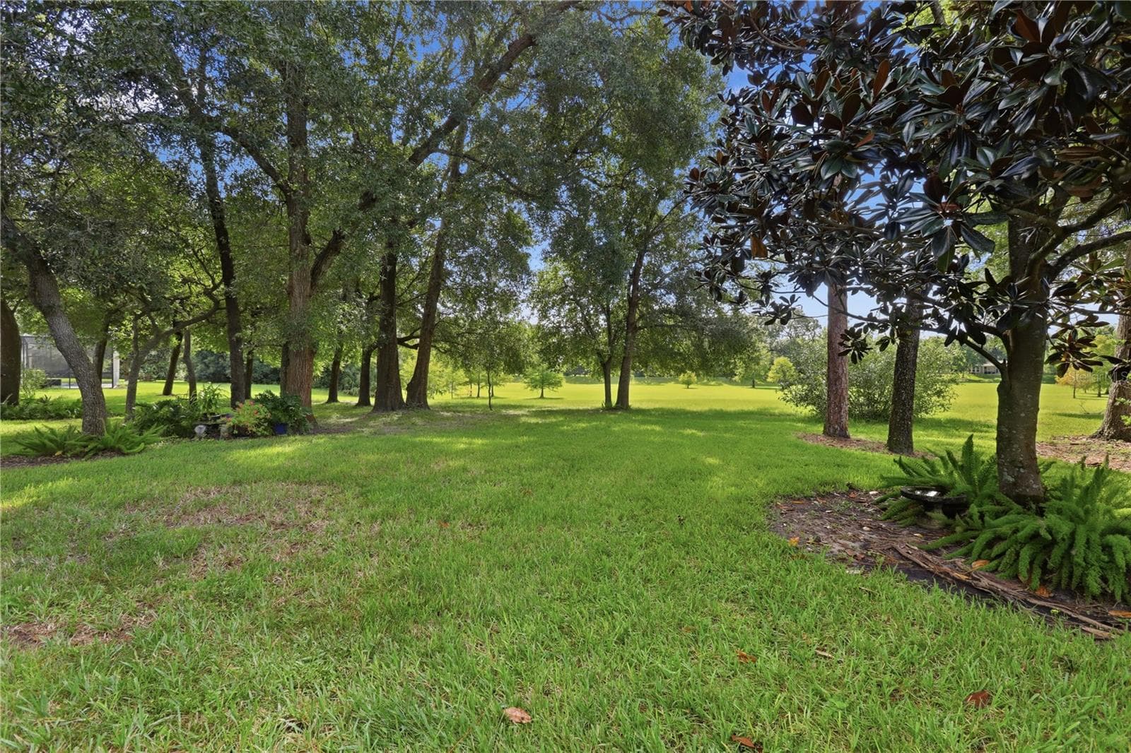 Single Family Residence at 108 WISTERIA LN, DELAND, photo 50 of 58
