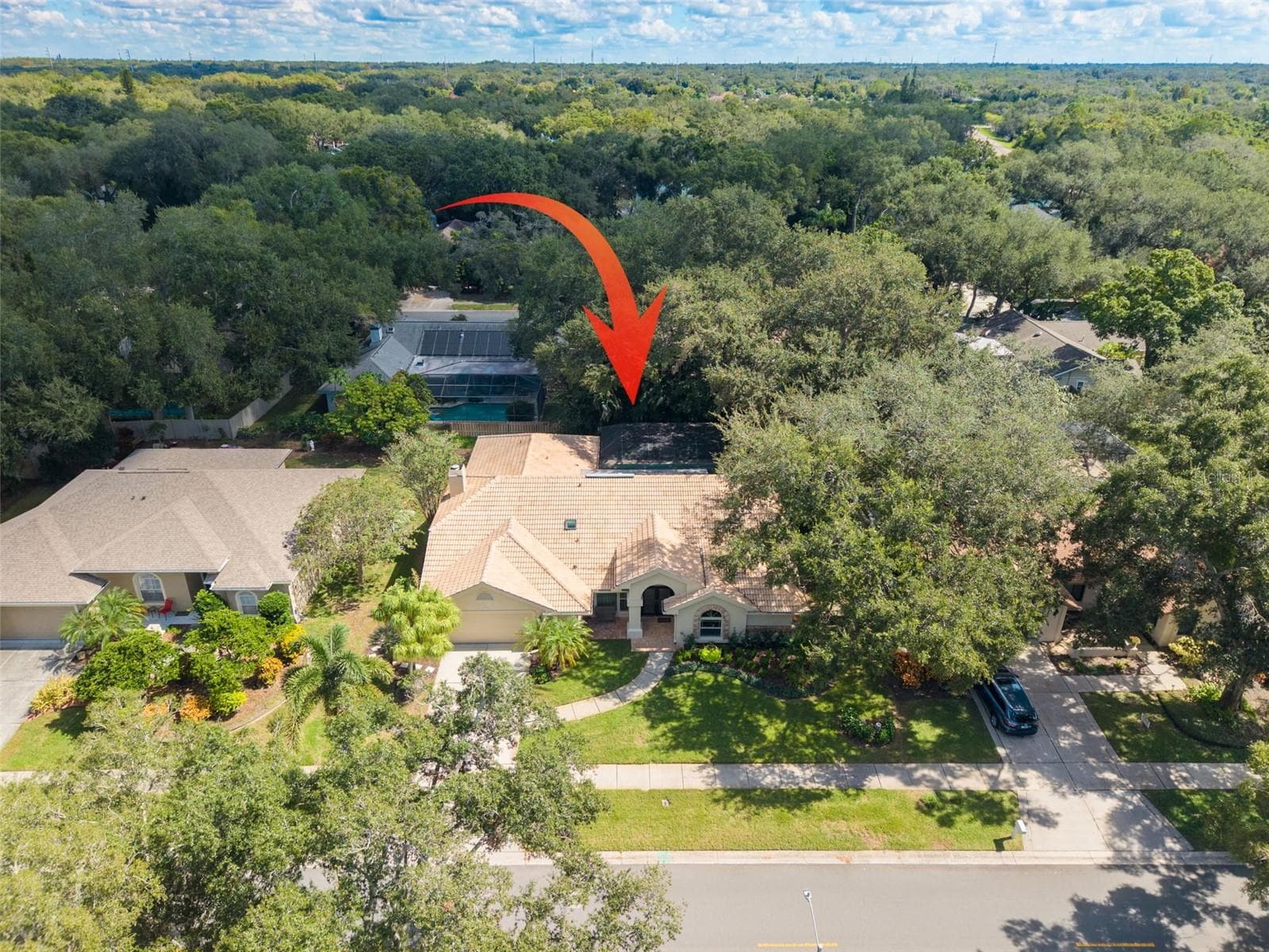 Single Family Residence at 2715 COUNTRY WOODS LN, PALM HARBOR, photo 48 of 54