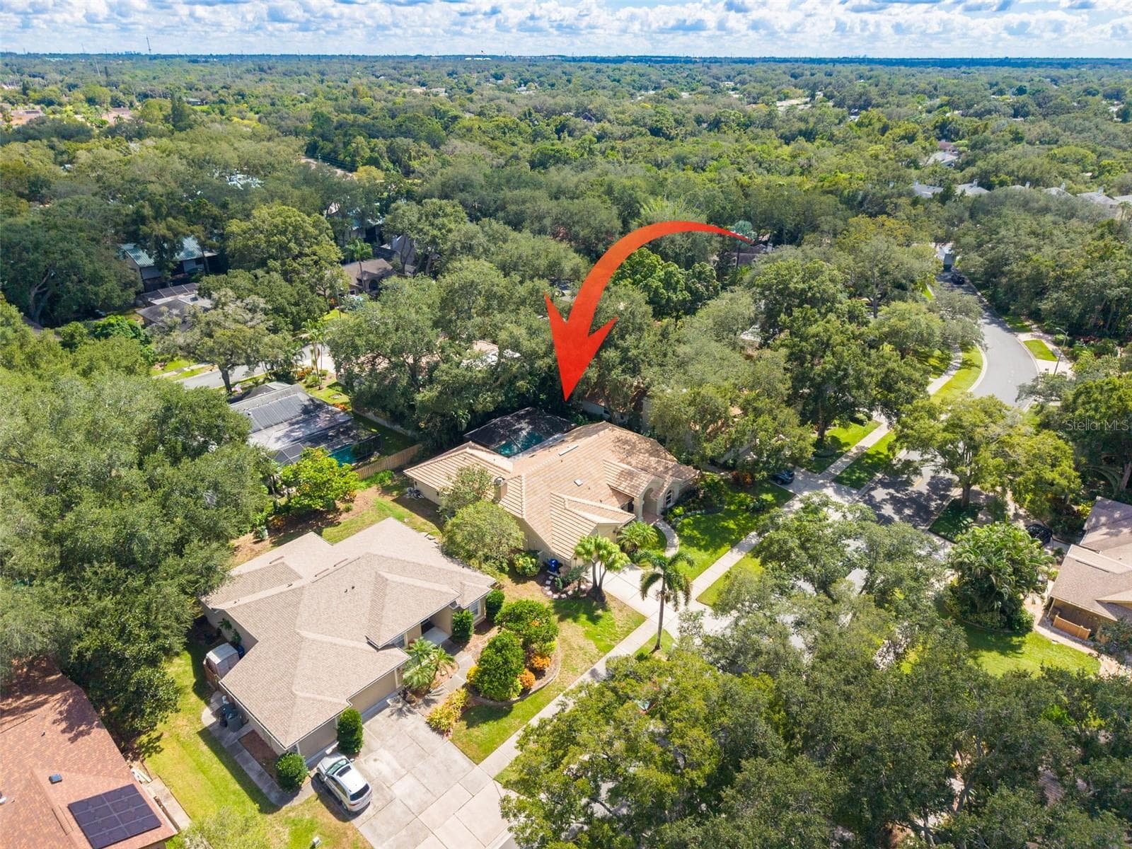 Single Family Residence at 2715 COUNTRY WOODS LN, PALM HARBOR, photo 49 of 54